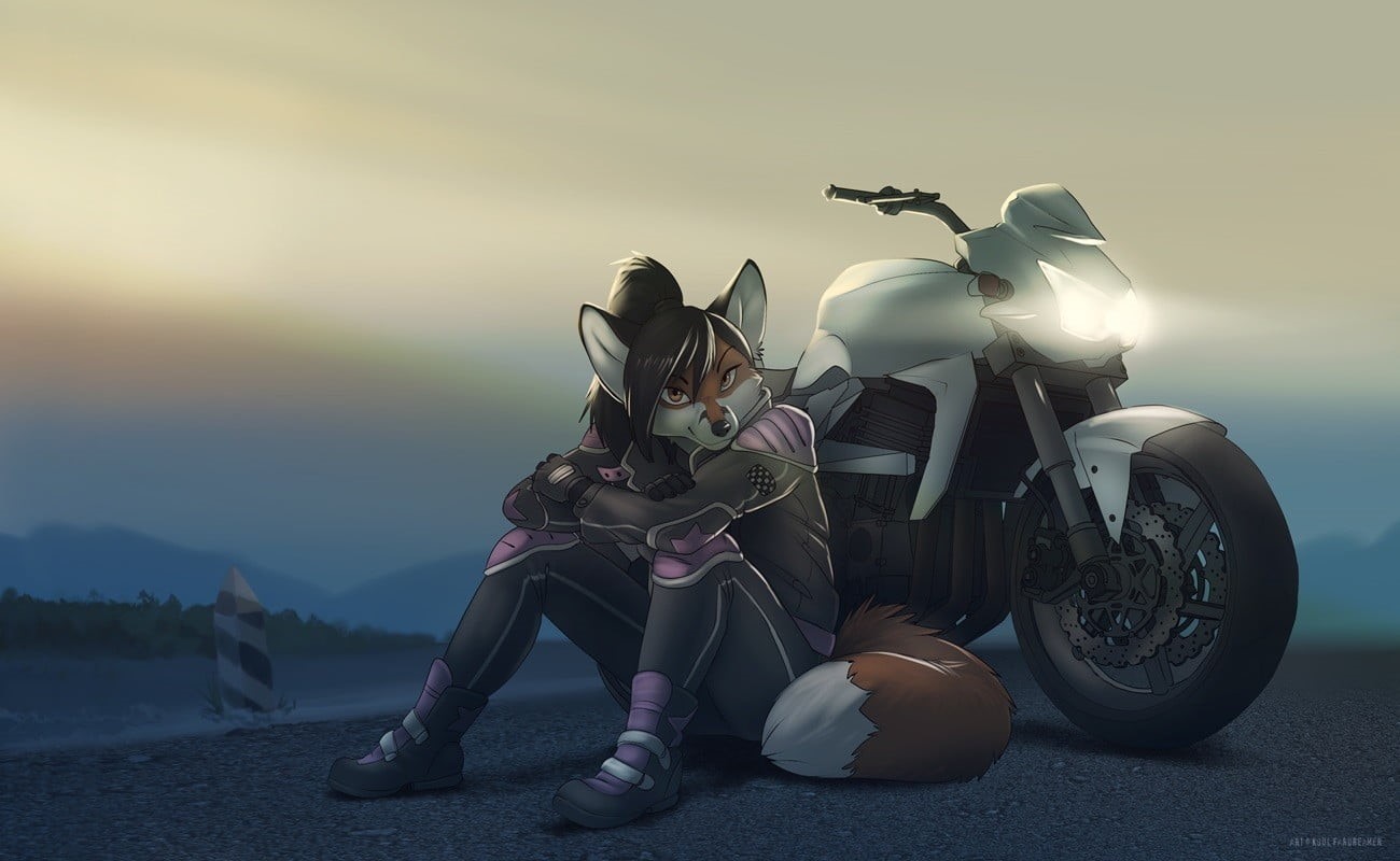 mode of transportation, bike, girl, sitting, land vehicle, transportation, sunset, scooter, furry, sky, Anthro, representation, outdoors, one animal, HD Wallpaper