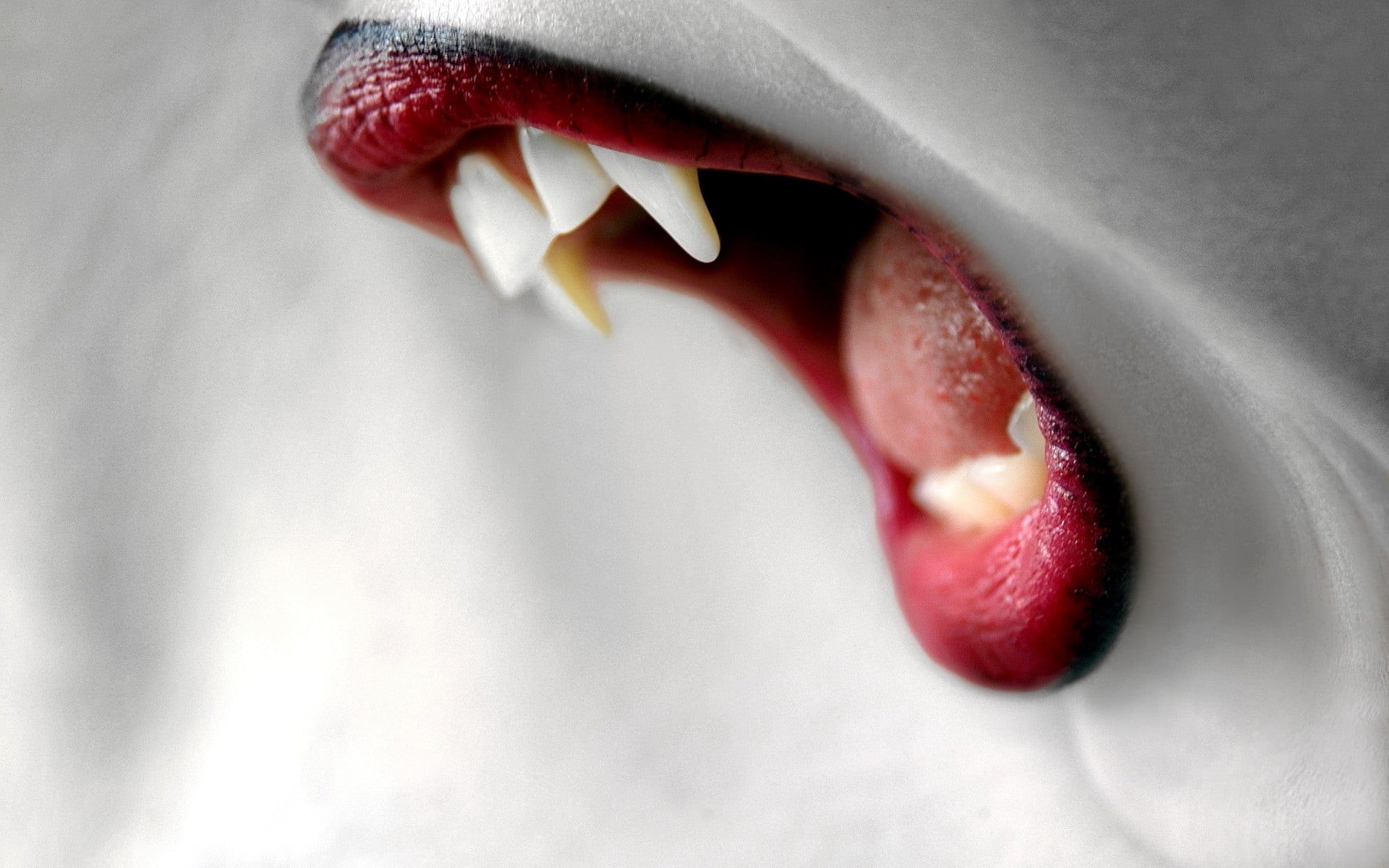 close-up, red lipstick, juicy lips, mouth open, human teeth, indoors, vampires, red, young adult, human tongue, body part, selective coloring, human mouth, HD Wallpaper