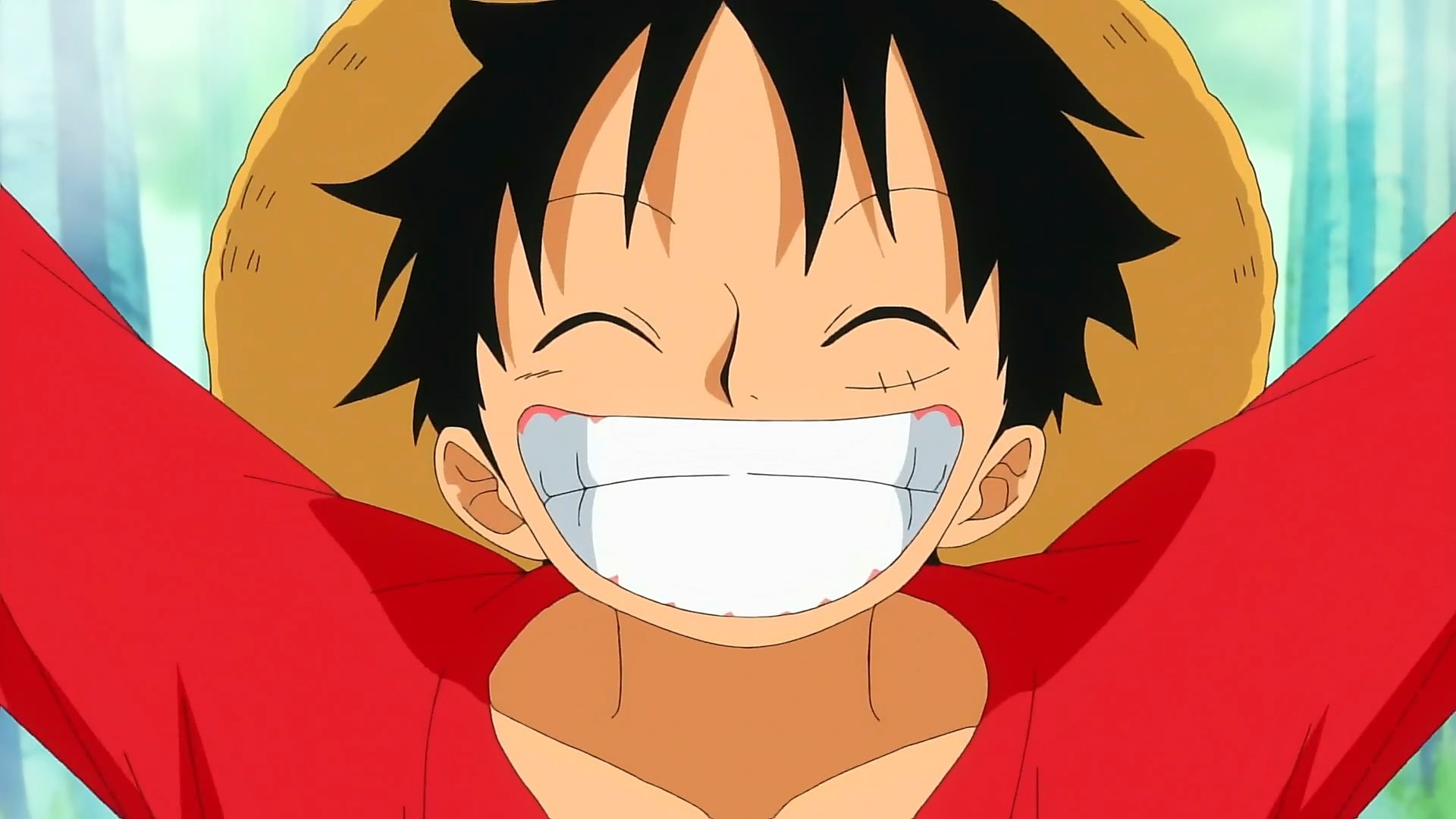 one, x, monkey, hd, anime, piece, mugiwara, one piece, d, art, Luffy, 1080P, smiles, HD Wallpaper