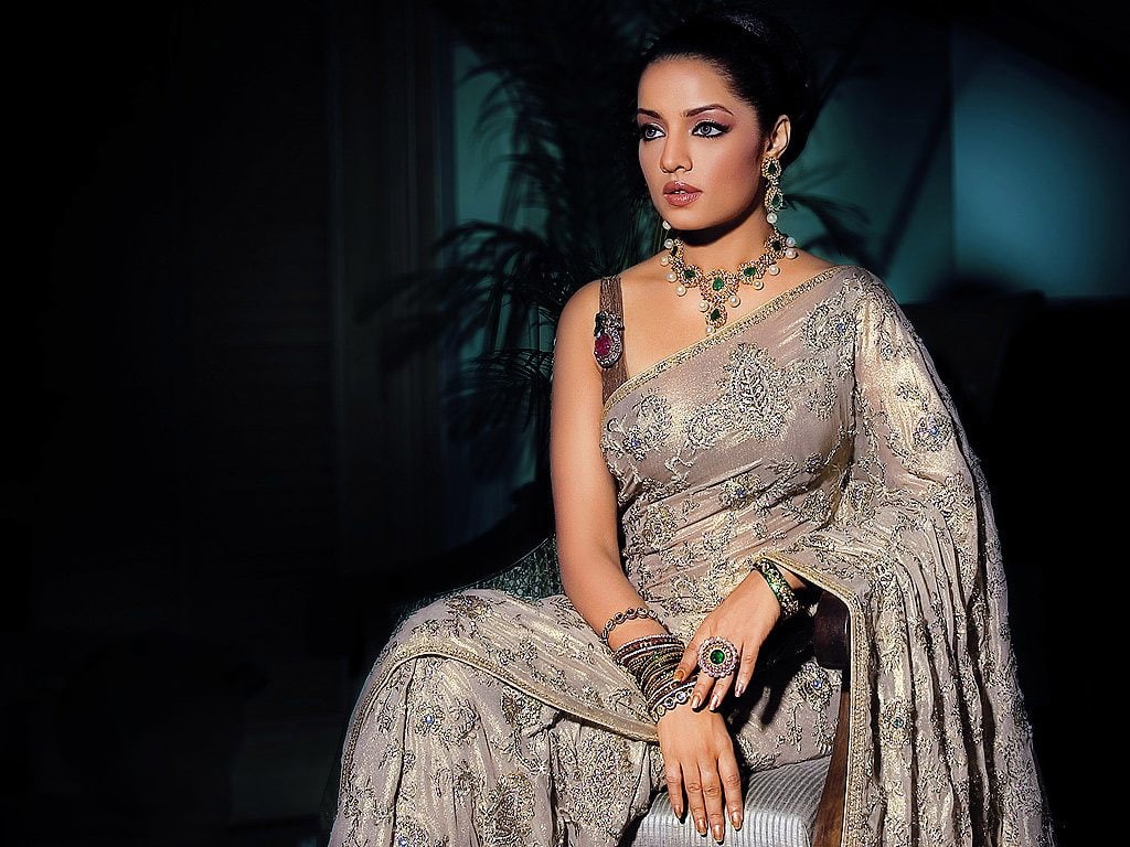 jaitley, saree, transparent, 480P, celina, HD Wallpaper