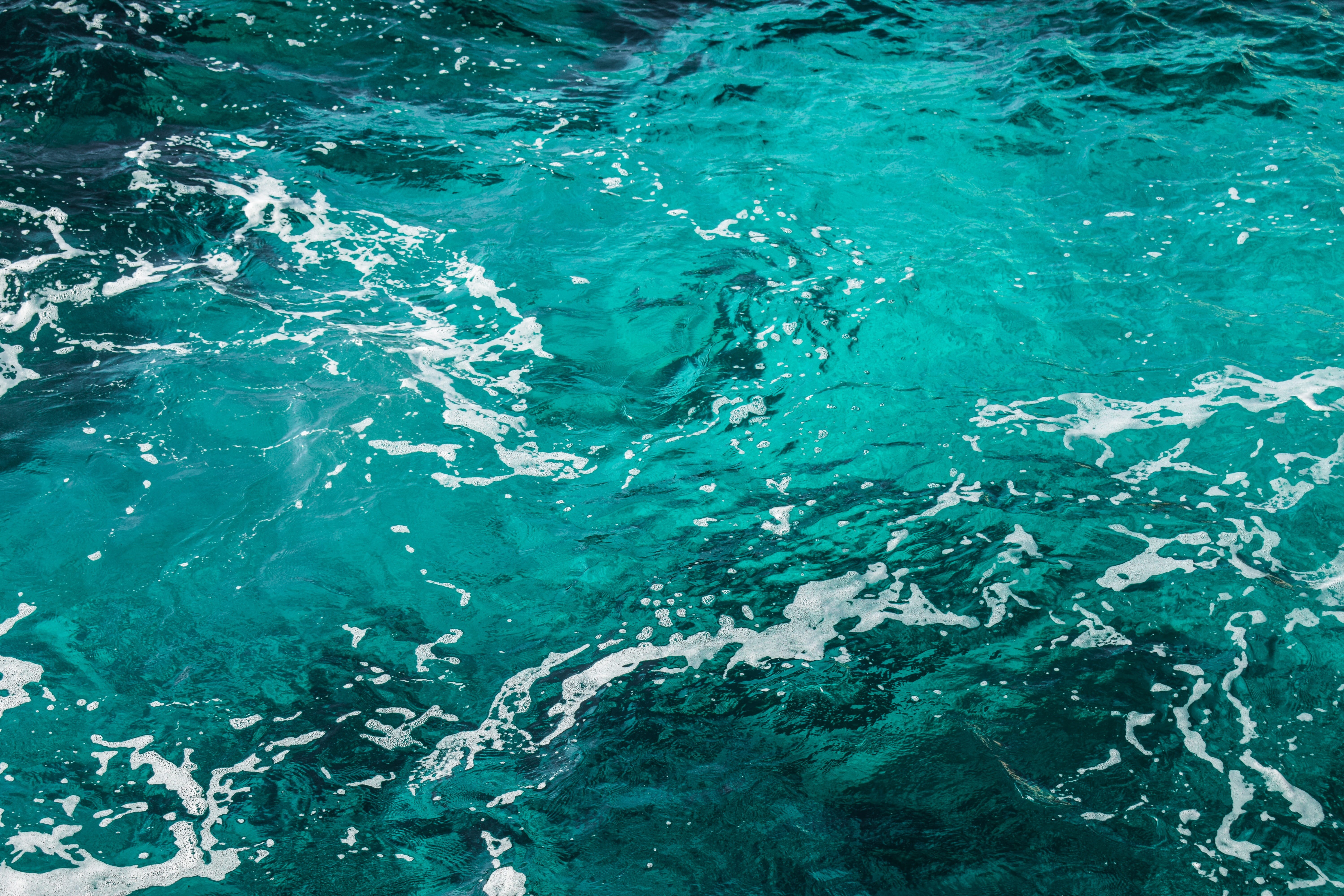 transparent, wave, water, motion, swimming pool, 5K, turquoise, backgrounds, textured, waterfront, liquid, sport, no people, close-up, beauty in nature, HD Wallpaper