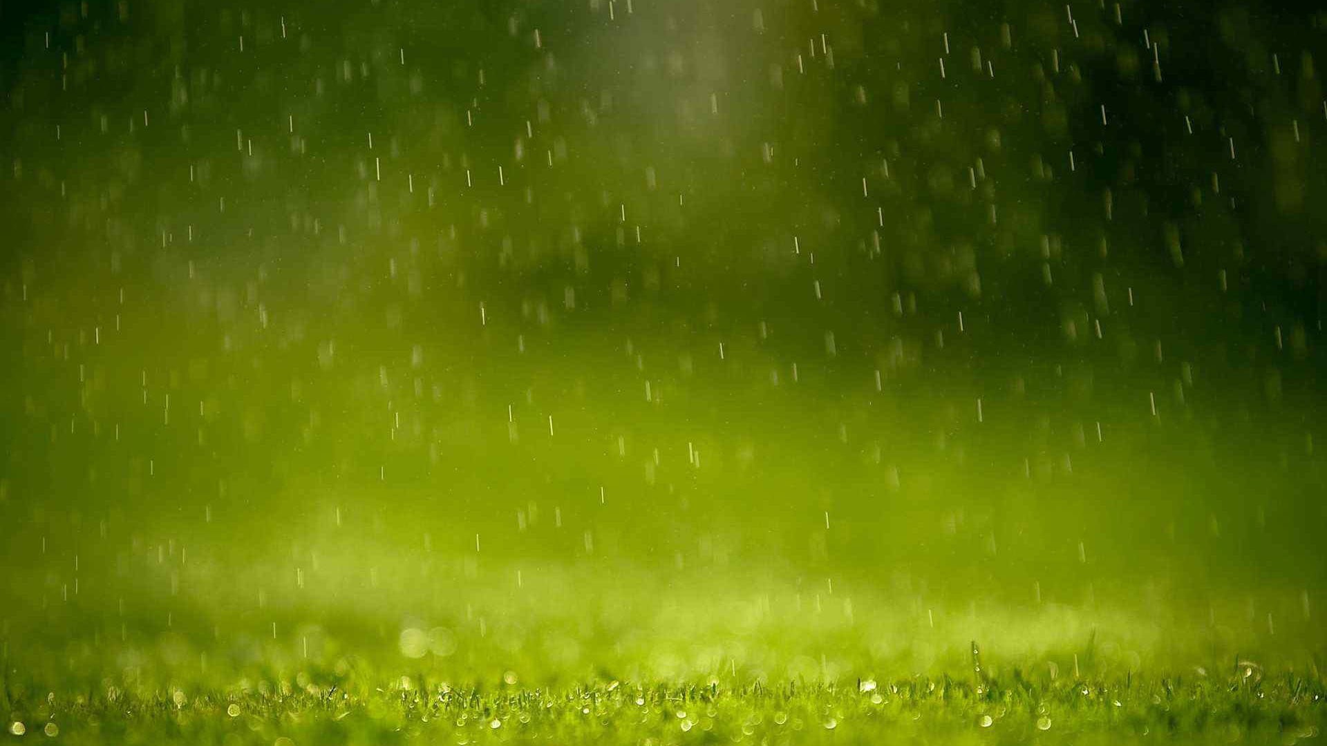textured effect, 1080P, digital, art, futuristic, web, fresh, lawn, environment, texture, backgrounds, design, outdoors, water, bright, grass, HD Wallpaper