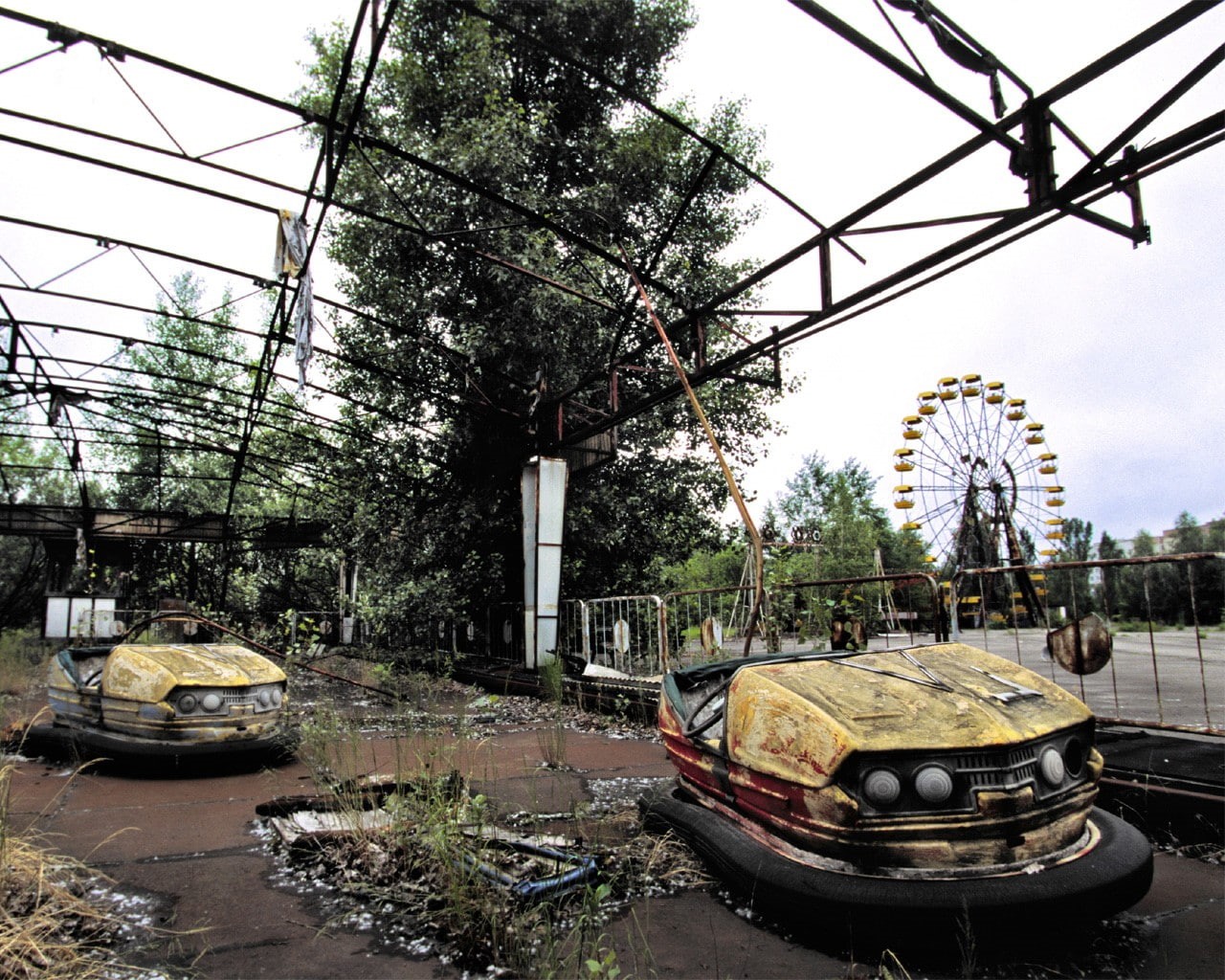 city, tree, obsolete, Chernobyl, architecture, day, motor vehicle, apocalyptic, damaged, ruin, outdoors, no people, plant, abandoned, mode of transportation, HD Wallpaper