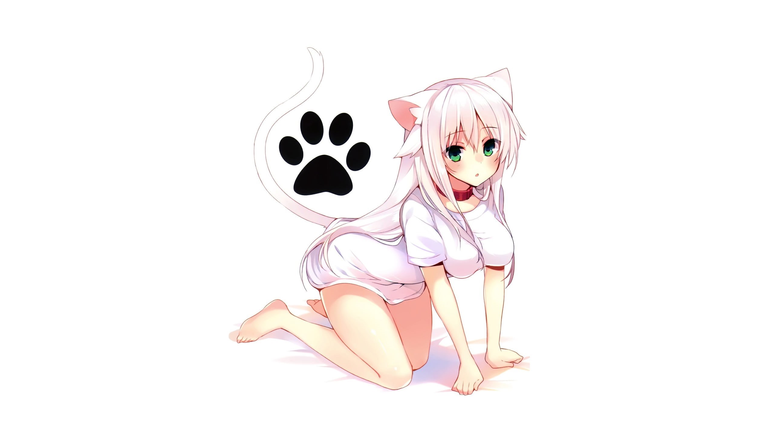copy space, blond hair, white, top, disguise, nekomimi, women, cat girl, hairstyle, 2K, full length, young women, studio shot, character, anime, HD Wallpaper