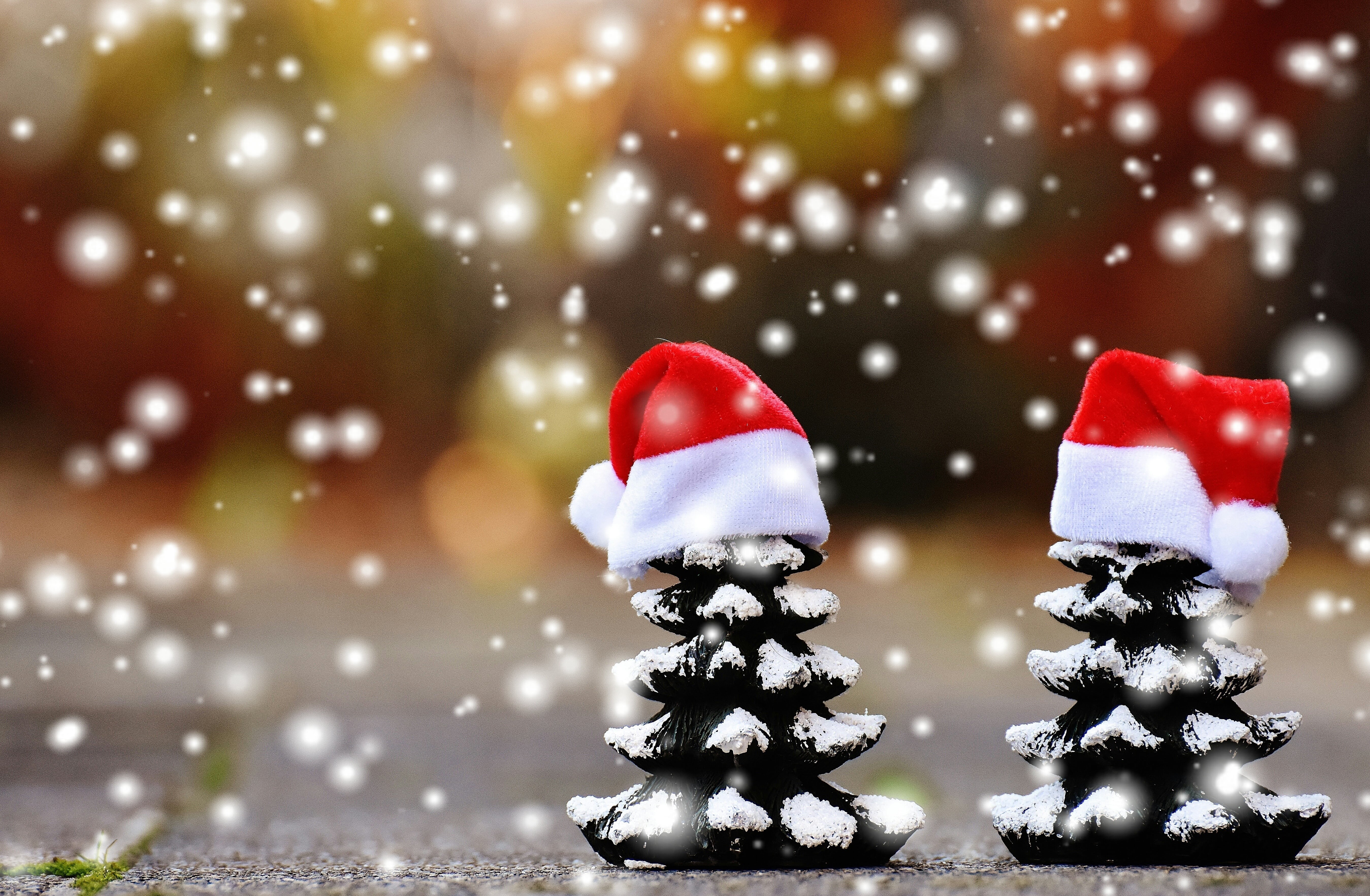 pine, tree, no people, advent, red, photography, focus, santa hat, human representation, firs, indoors, holiday, festival, celebration, winter, snowflake, HD Wallpaper