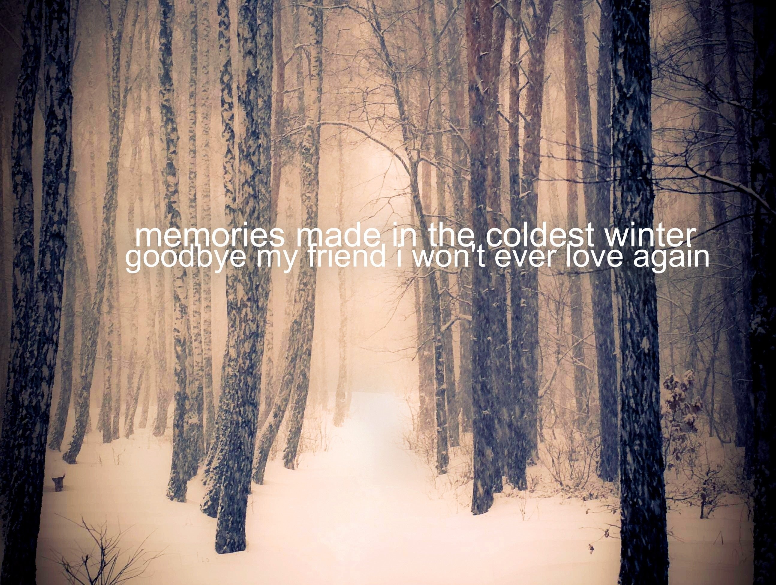 backgrounds, covering, quote, tree trunk, white color, landscape, mood, emotion, solitude, nature, snow, cold temperature, Sadness, no people, winter, 2K, HD Wallpaper