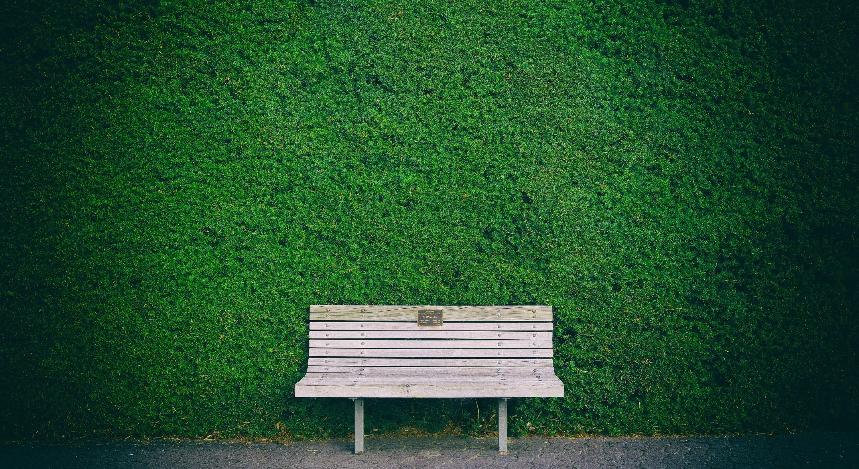 park - man made space, land, hedge, bench, seat, park bench, nature, green color, grass, wooden, wood - material, plant, park, growth, brown, green, day, HD Wallpaper