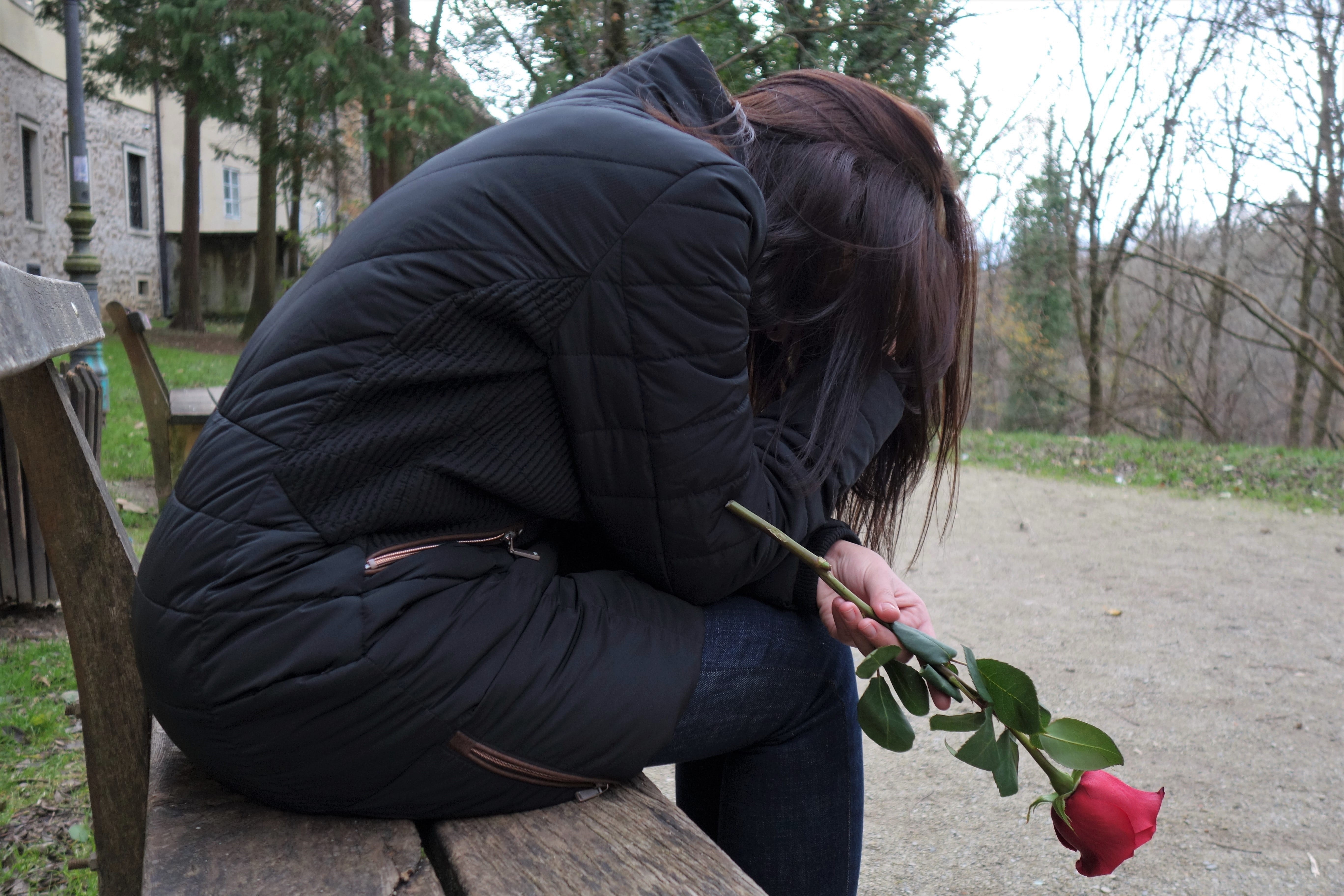 outdoors, warm clothing, girls, sitting, crying, hood - clothing, clothing, women, depressive, holding, modelling, rose, rear view, bench, lonely, emotional, HD Wallpaper