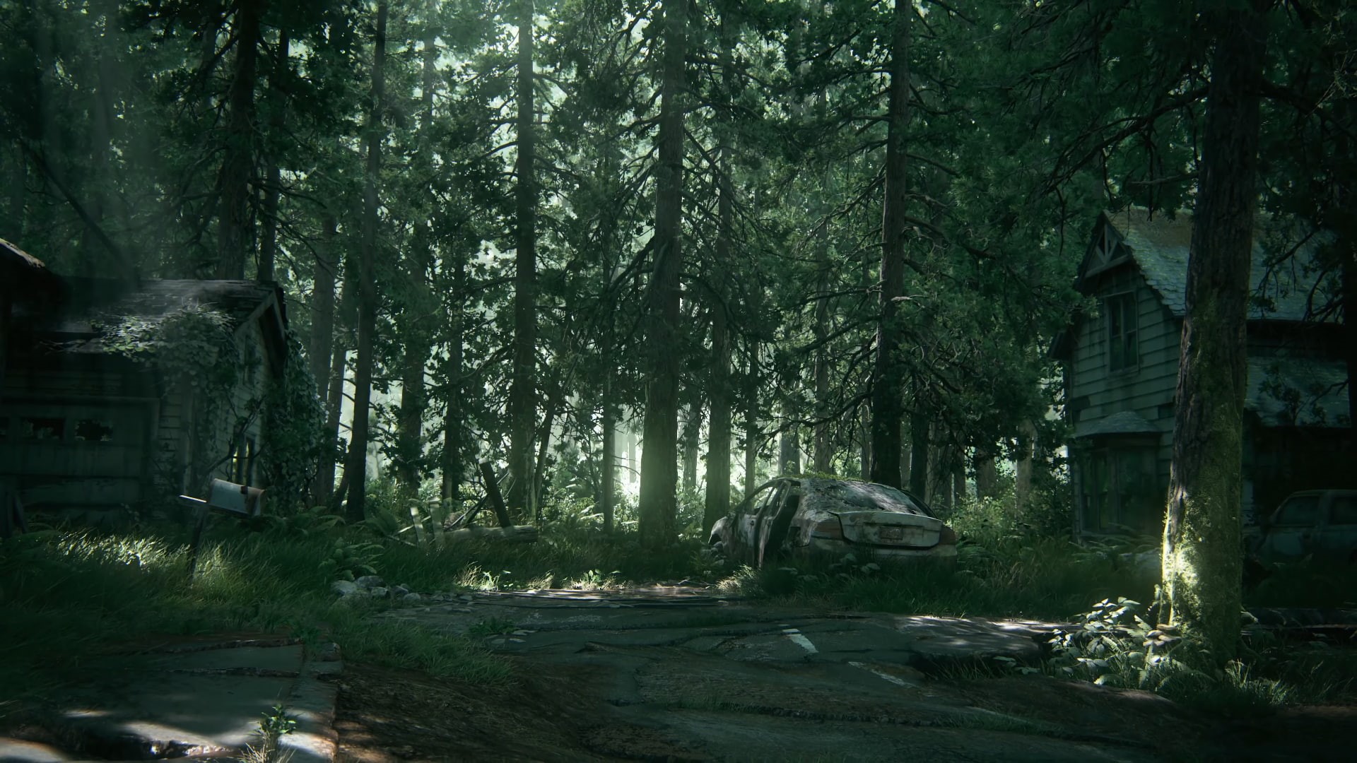 outdoors, beauty in nature, Ellie, architecture, trunk, The Last of Us 2, woodland, growth, built structure, no people, forest, green color, building exterior, HD Wallpaper
