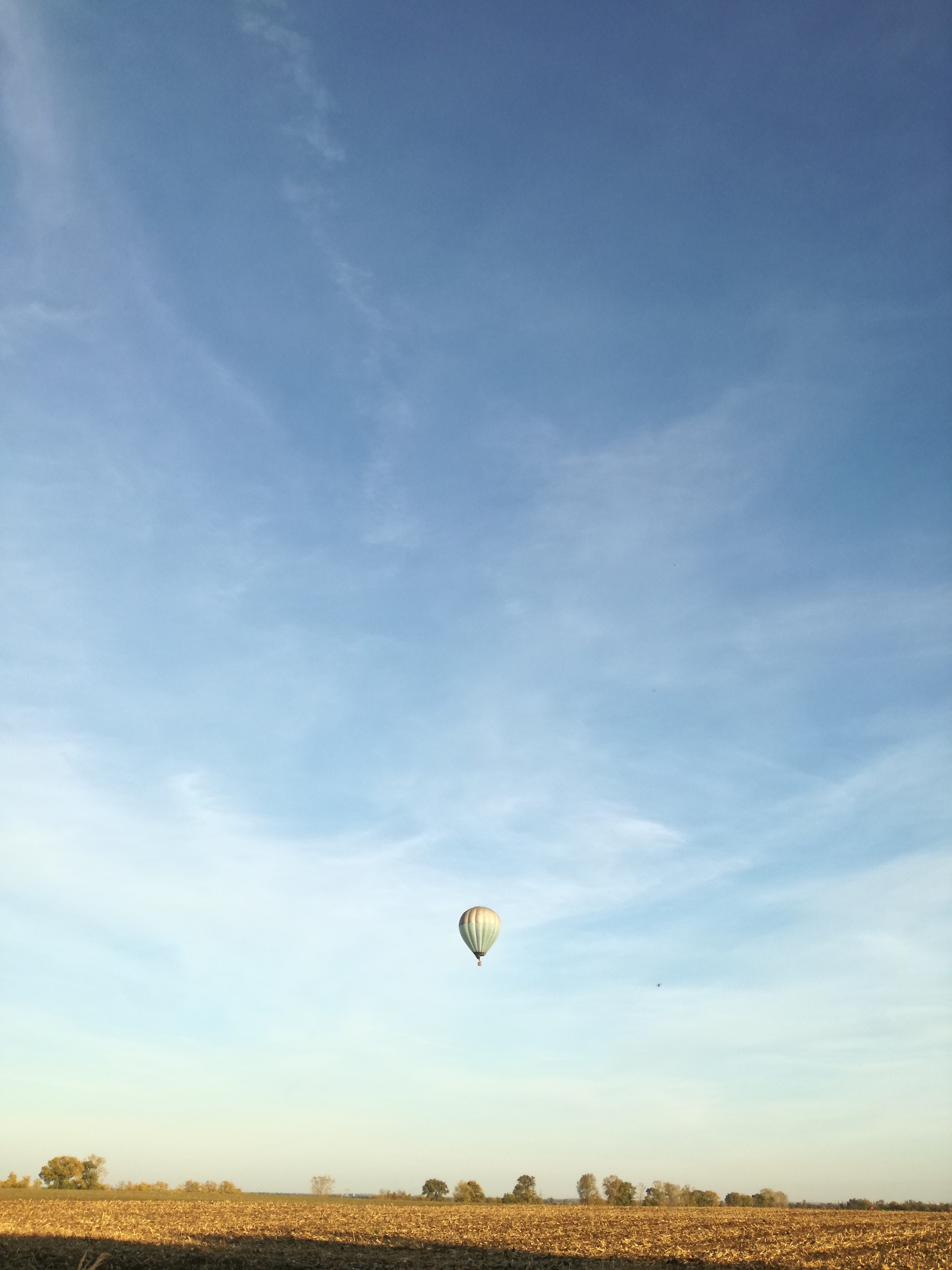 turkey, day, background, sky, aircraft, blue, red, no people, mid-air, hot, white, nature, dom, balloon, cloud - sky, color, balloons, holiday, 4K, transportation, Phone HD Wallpaper