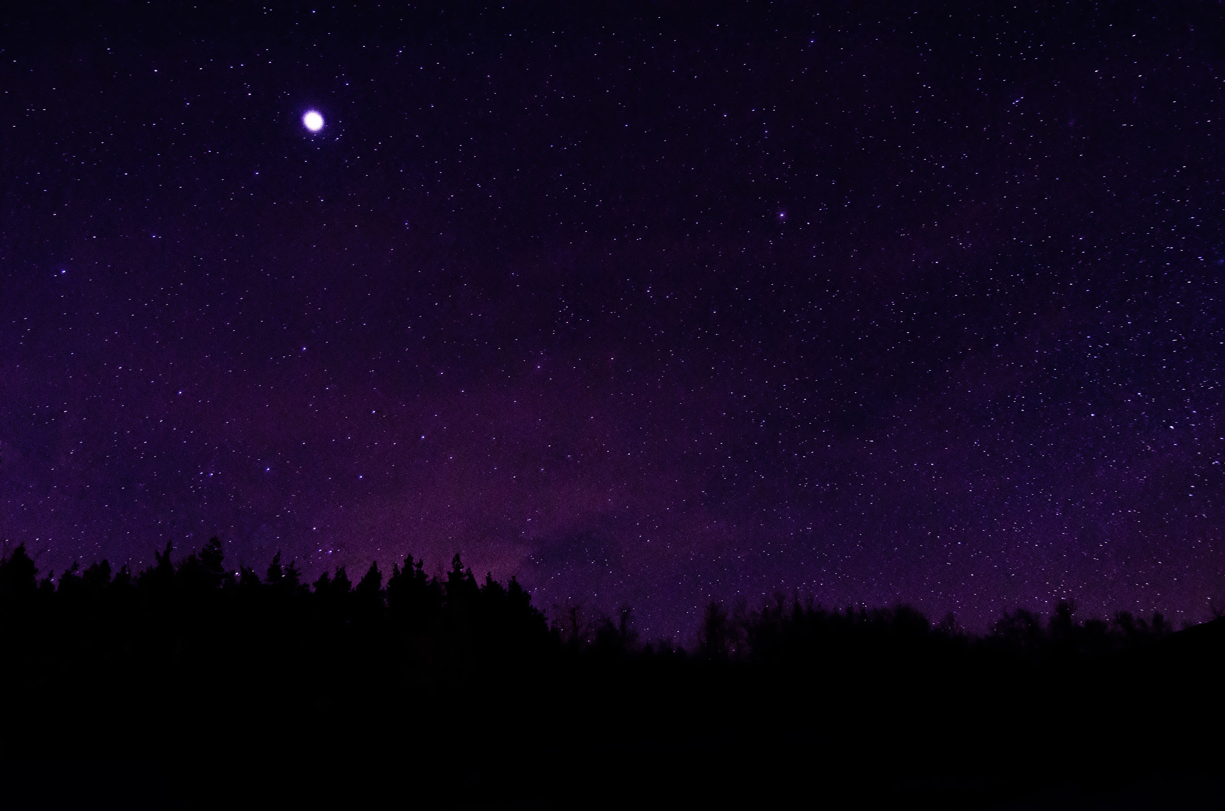 4K, tree, plant, purple, scenics - nature, sky, nature, stars, space and astronomy, constellation, silhouette, space, low angle view, infinity, night, HD Wallpaper