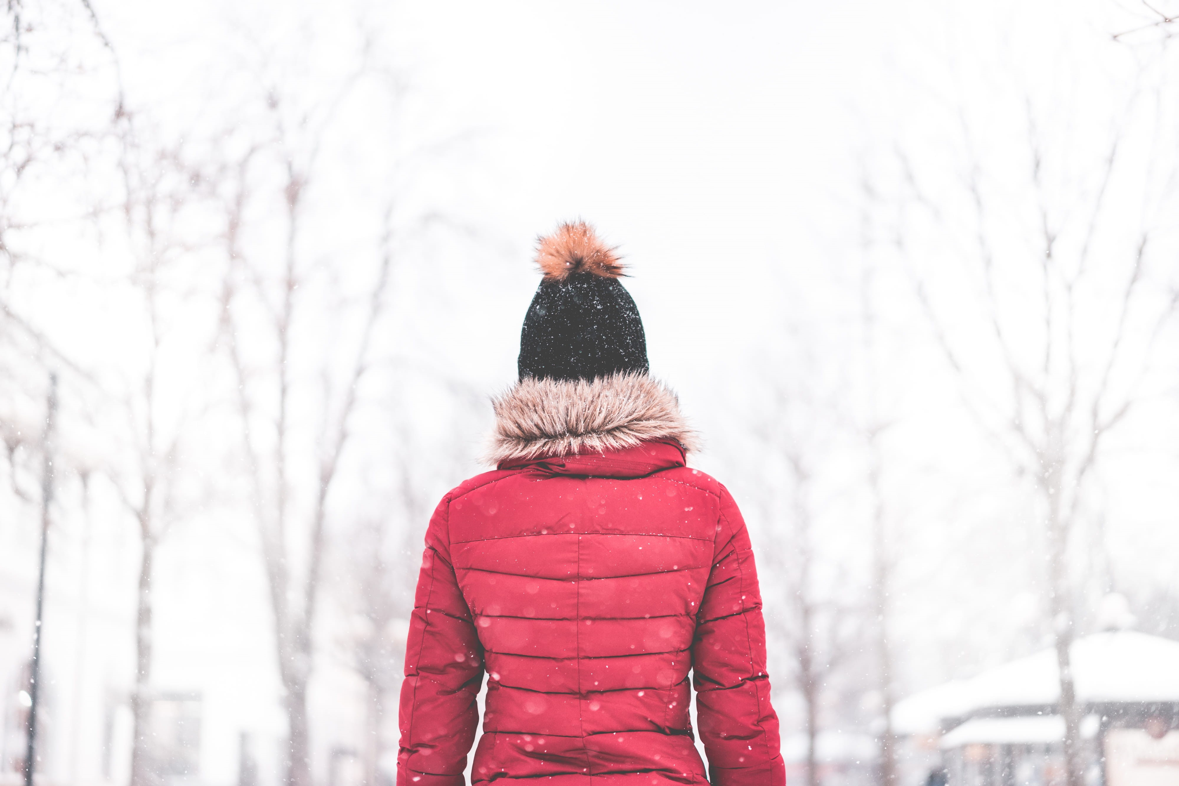 scarf, cold temperature, Snowy, hat, girl, young Adult, real people, hood - clothing, day, 4K, snowing, nature, winter, leisure activity, winter hat, room for text, HD Wallpaper