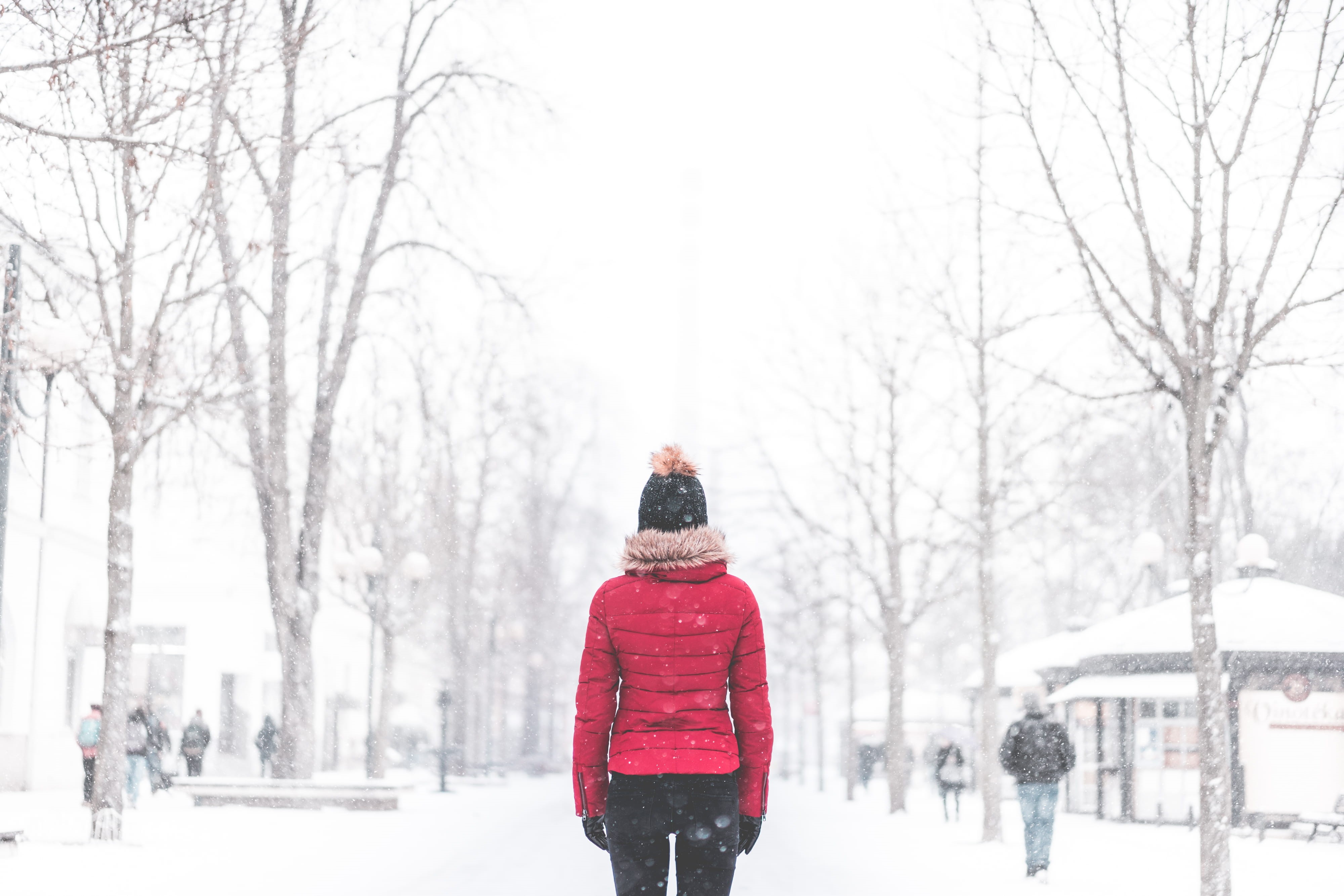 walking, snowing, leisure activity, one Person, winter, rear view, caucasian Ethnicity, Woman, extreme weather, cold - Temperature, people, white, tree, HD Wallpaper
