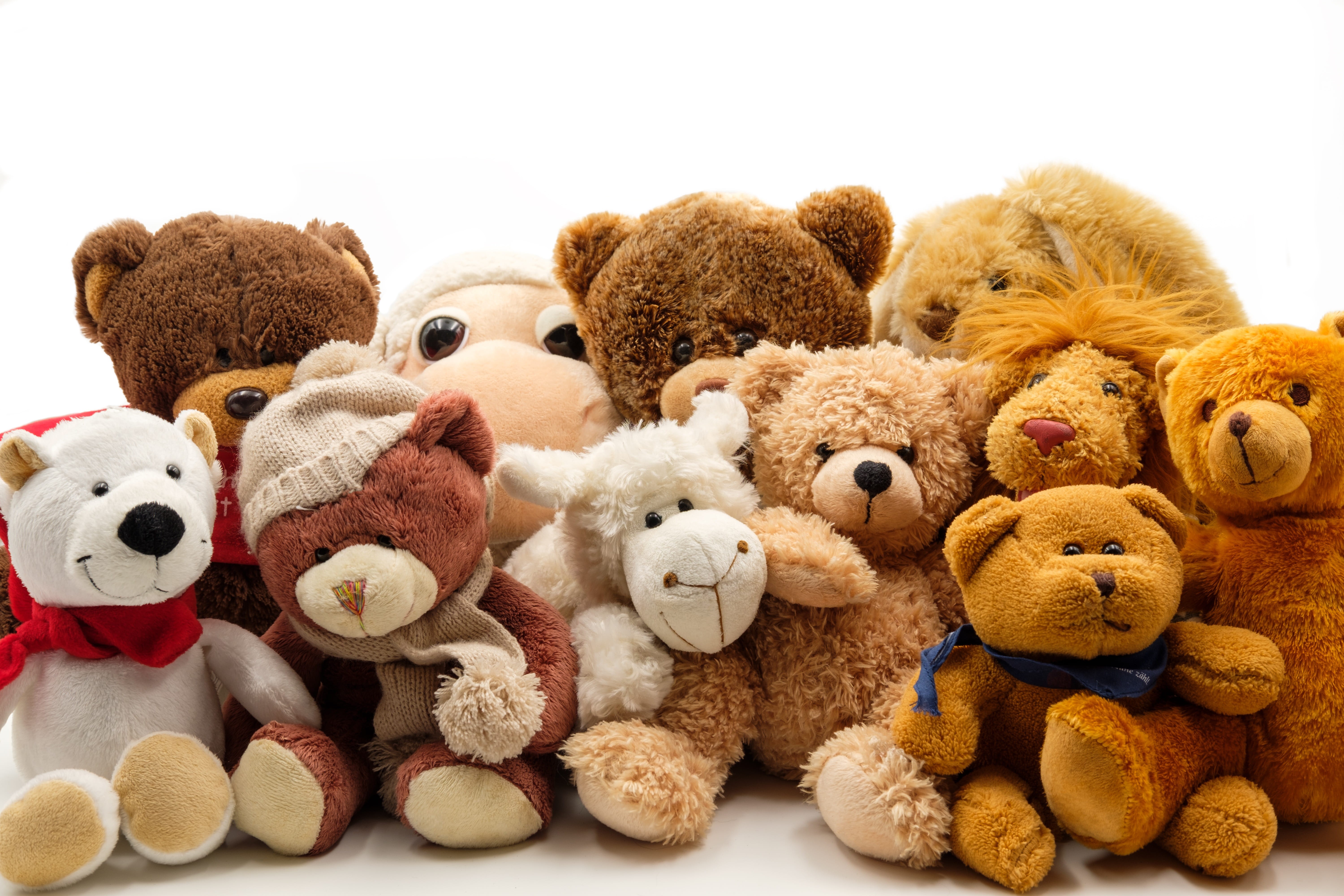 cute, community, group picture, soft toy, white, representation, stuffed animals, animal representation, 5K, friendship, friends, childhood, large group of objects, HD Wallpaper