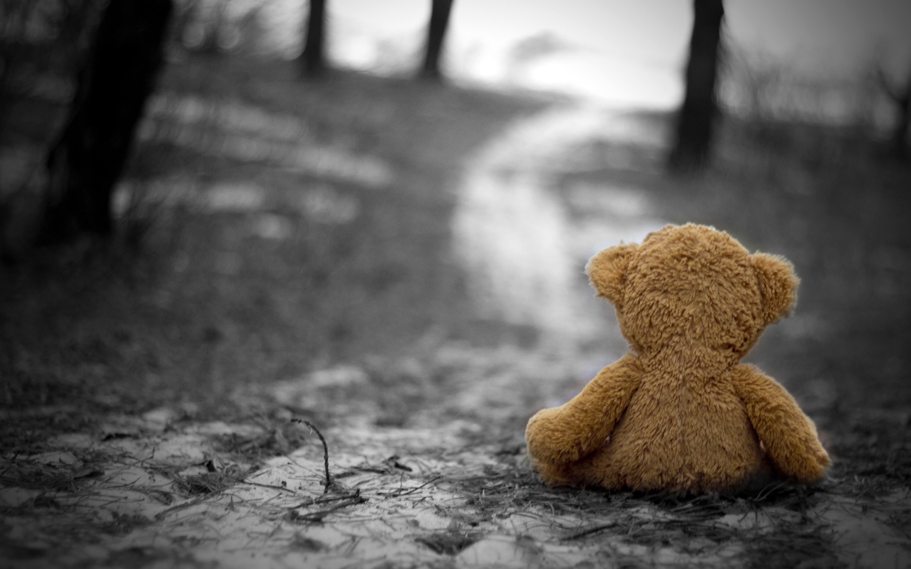 outdoors, depth of field, abandoned, teddy bear, 4K, selective focus, focus on foreground, monochrome, softness, gloomy, toy, animal representation, dirt, HD Wallpaper