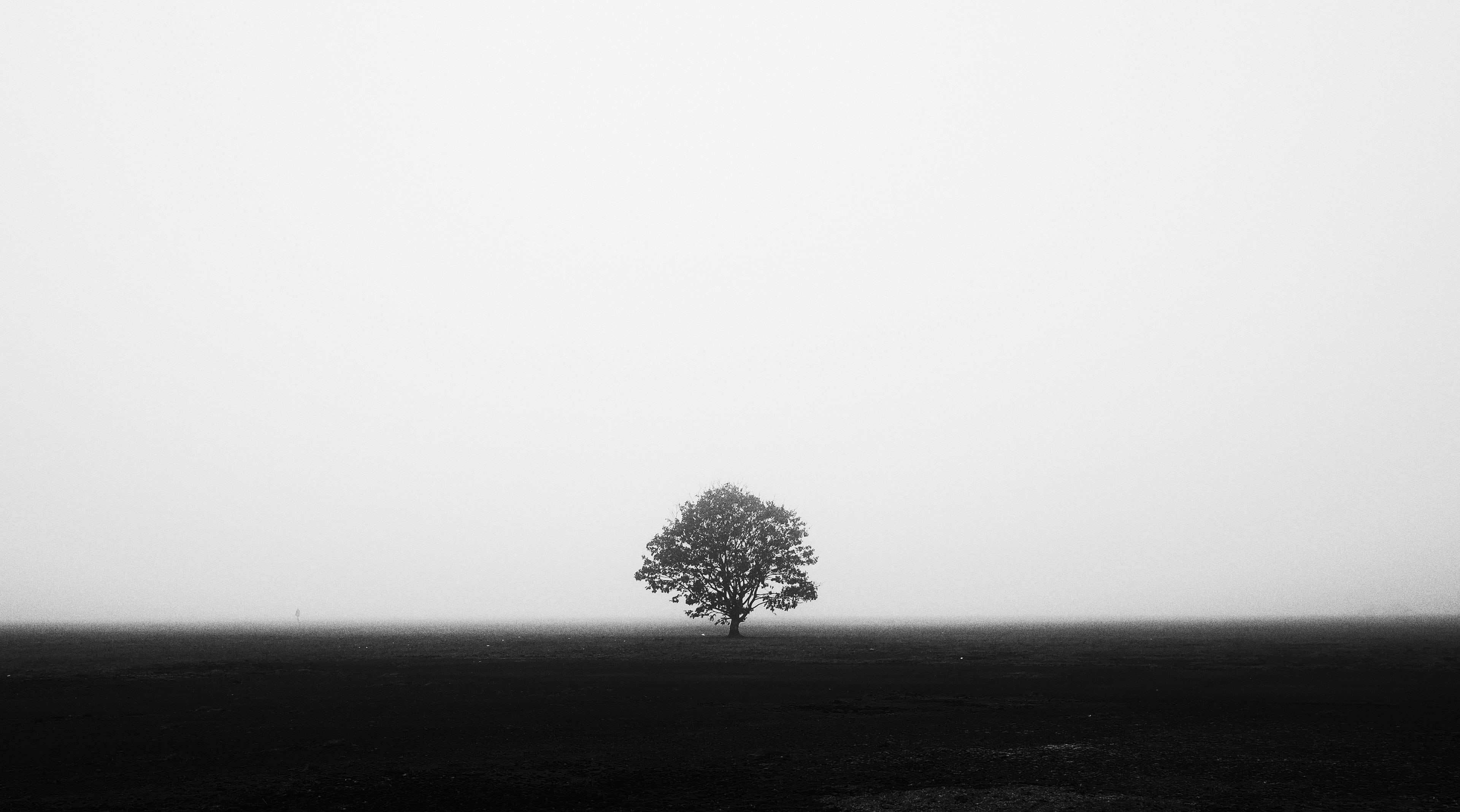 tranquil scene, nature, non-urban scene, black, landscape, trees, photo, photography, simple, solitude, copy space, symmetry, tree, outdoors, plant, scenics - nature, HD Wallpaper