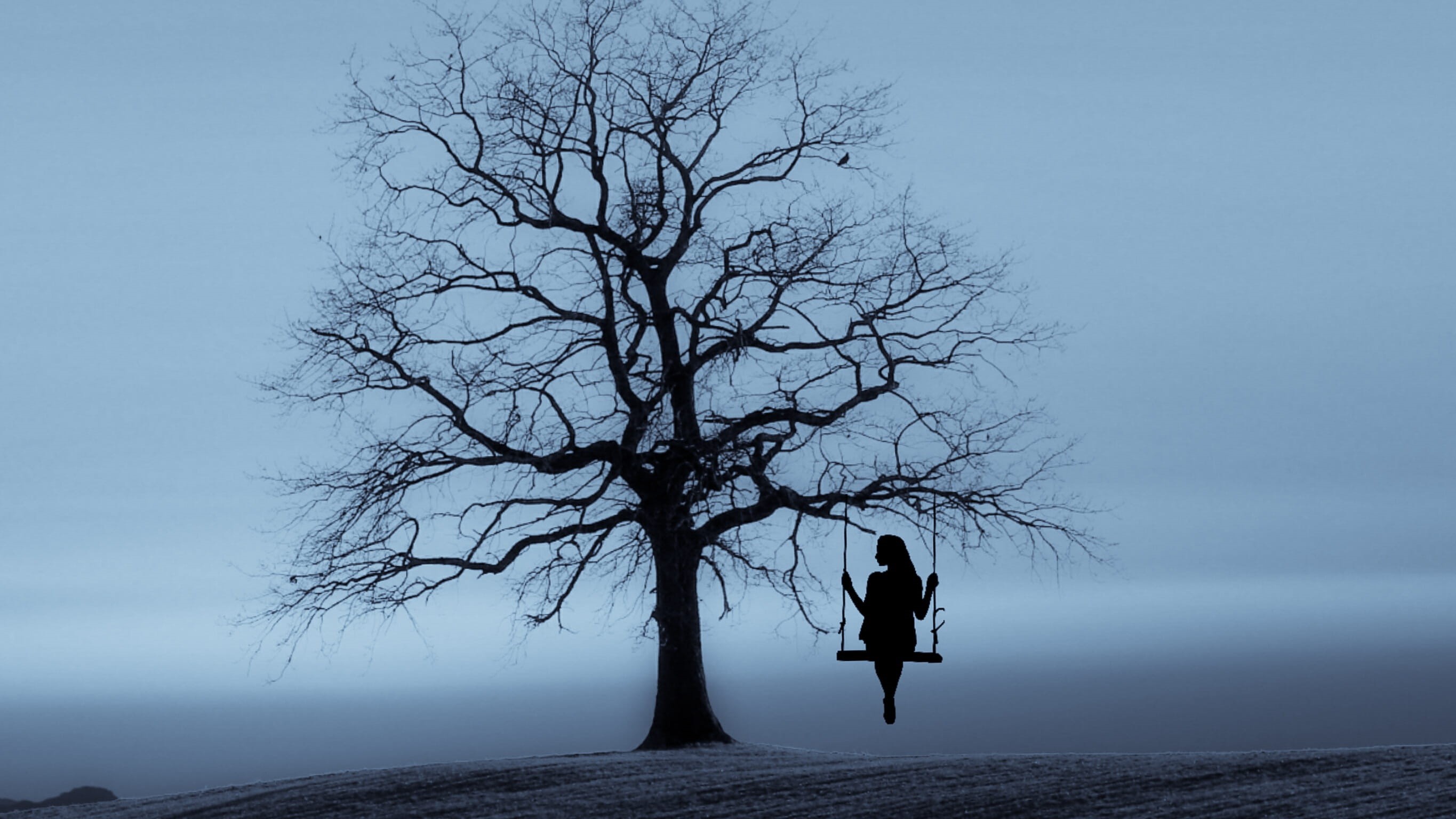silhouetted, silhouette, 2K, sky, tree, real people, branch, outdoors, swing, wood, day, environment, tranquility, mist, leisure activity, one person, HD Wallpaper