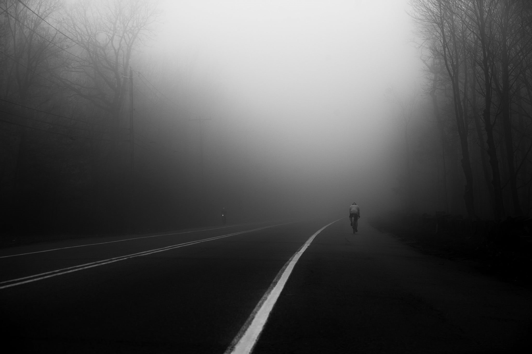 tree, marking, day, direction, solitude, the way forward, transportation, photo, road marking, unrecognizable person, diminishing perspective, symbol, nature, HD Wallpaper