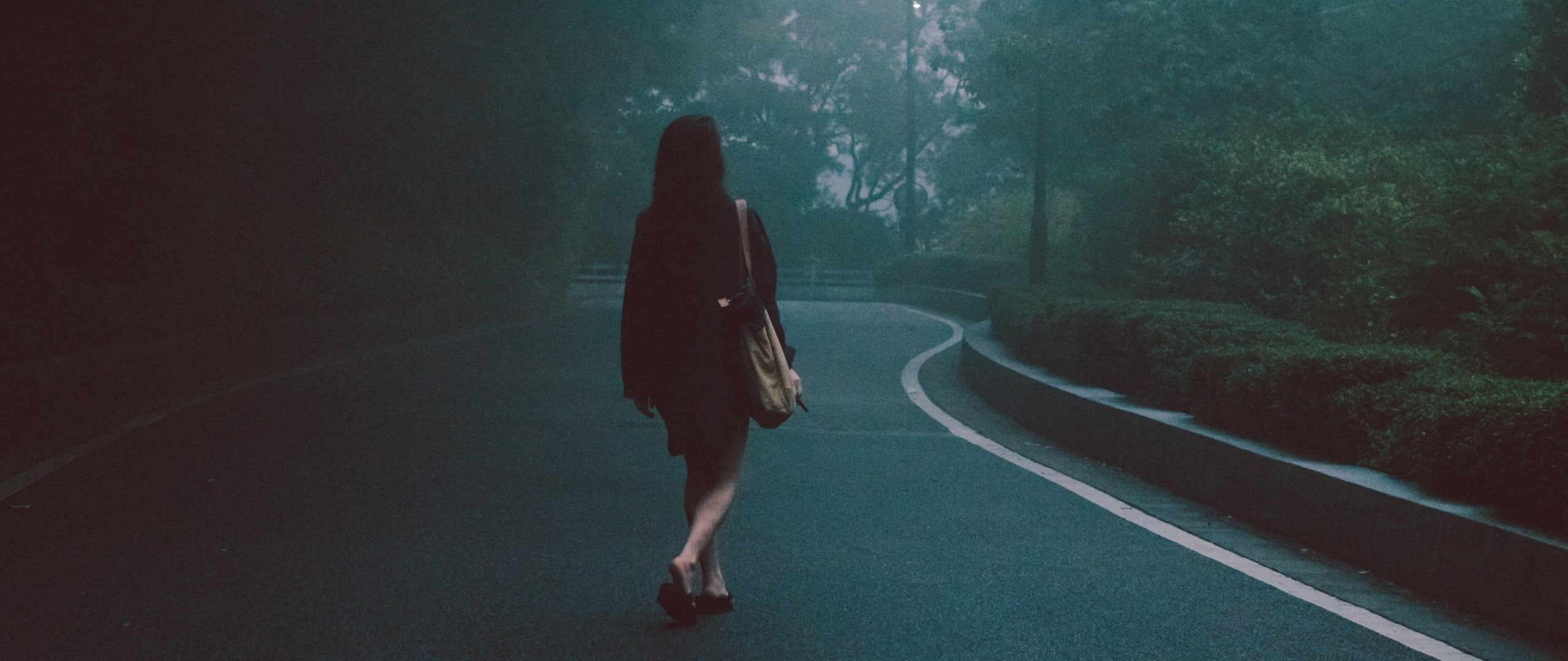 adult, walking, full length, spooky, sign, transportation, rear view, ultrawide, solitude, nature, tree, standing, night, road, casual clothing, forest, HD Wallpaper