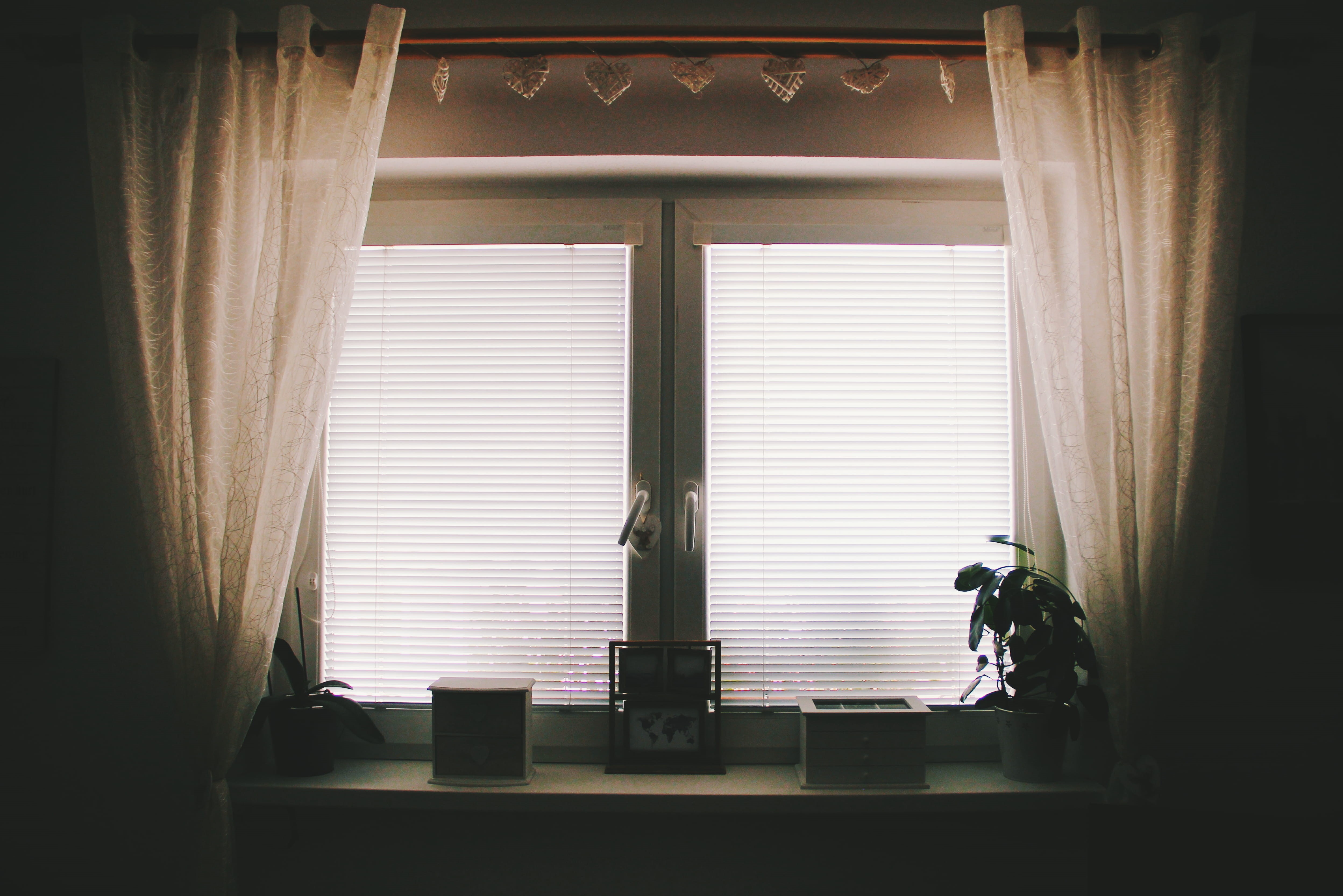 plant, curtain, furniture, interior, room, design, window, built structure, plants, house, white, no people, window sill, boxes, contemporary, home interior, HD Wallpaper