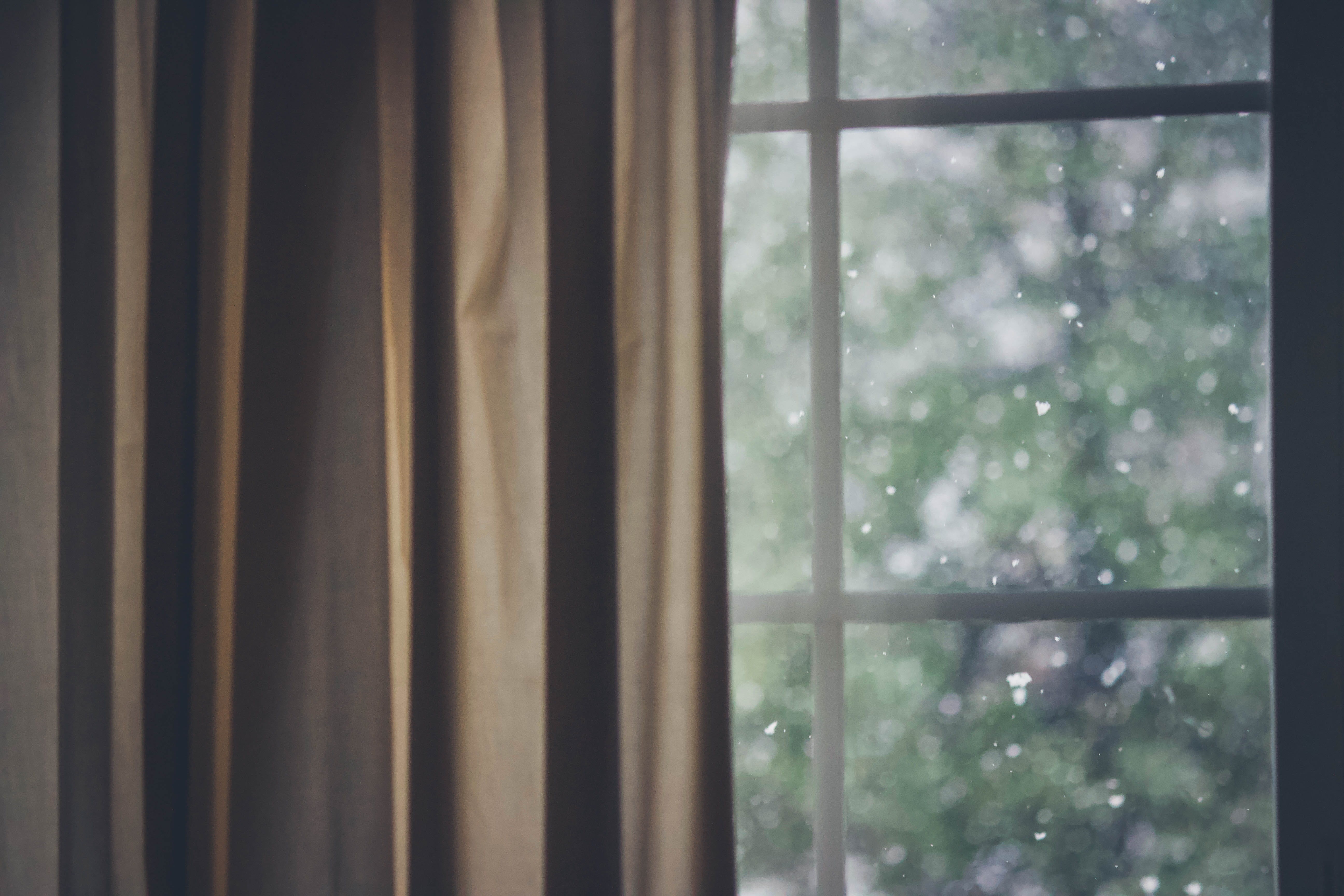focus on foreground, table lamp, window, sliding door, transparent, french door, tree, framed, security, indoors, no people, shower curtain, khaki, white, HD Wallpaper