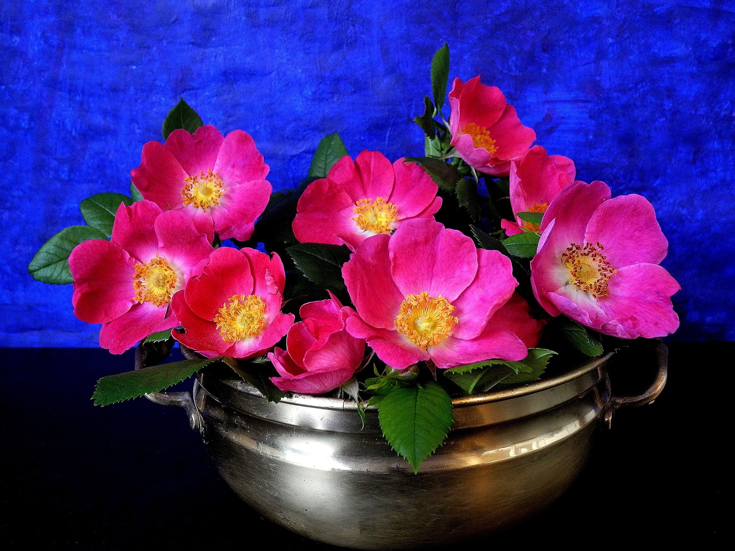 Vase, Pink, Flowers, 2K, Petals, HD Wallpaper