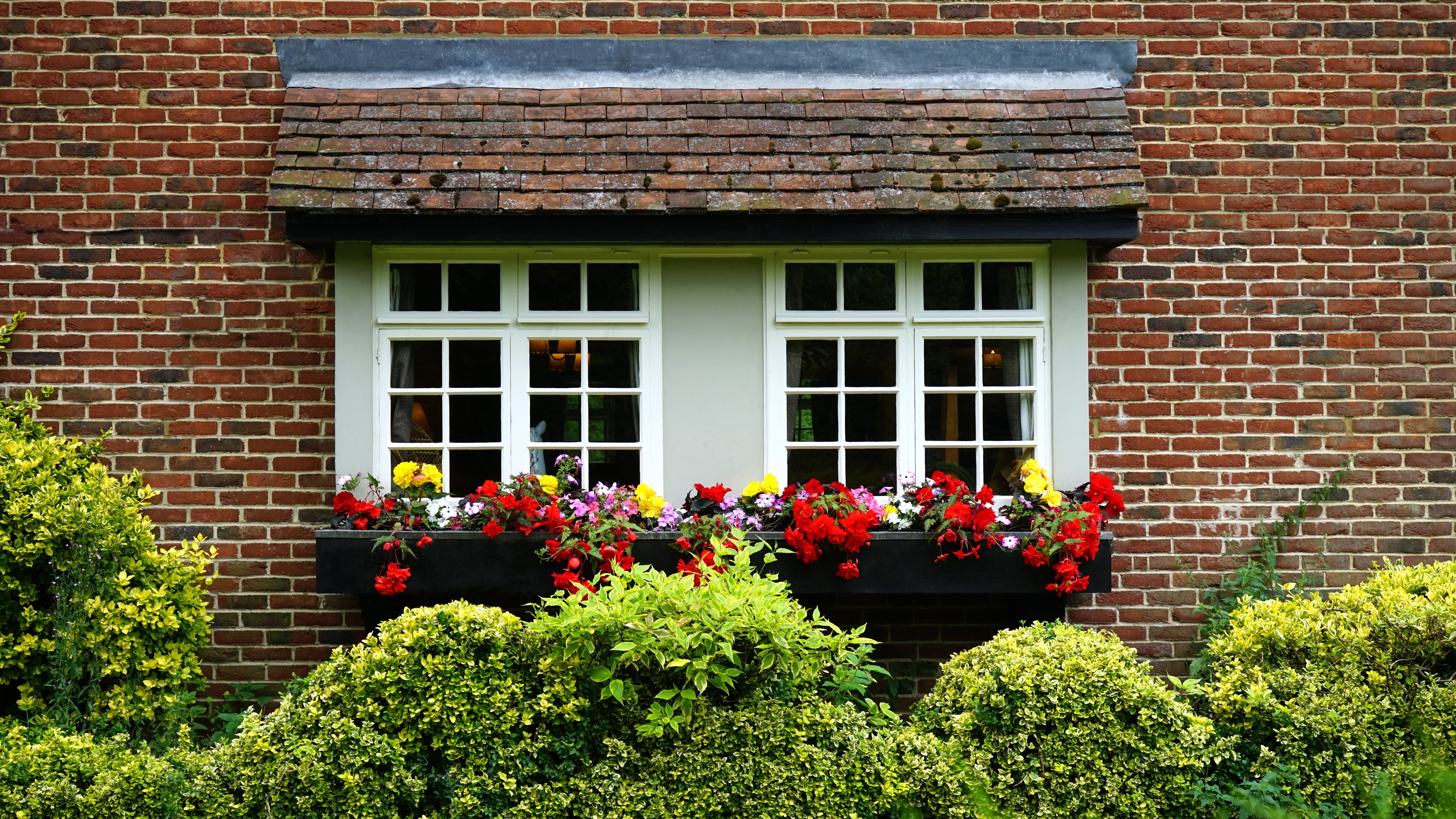 dwelling, beauty in nature, roof, window, flowers, apartment, freshness, green, wood, built structure, architecture, housing, exterior home, sony a7, plant, HD Wallpaper