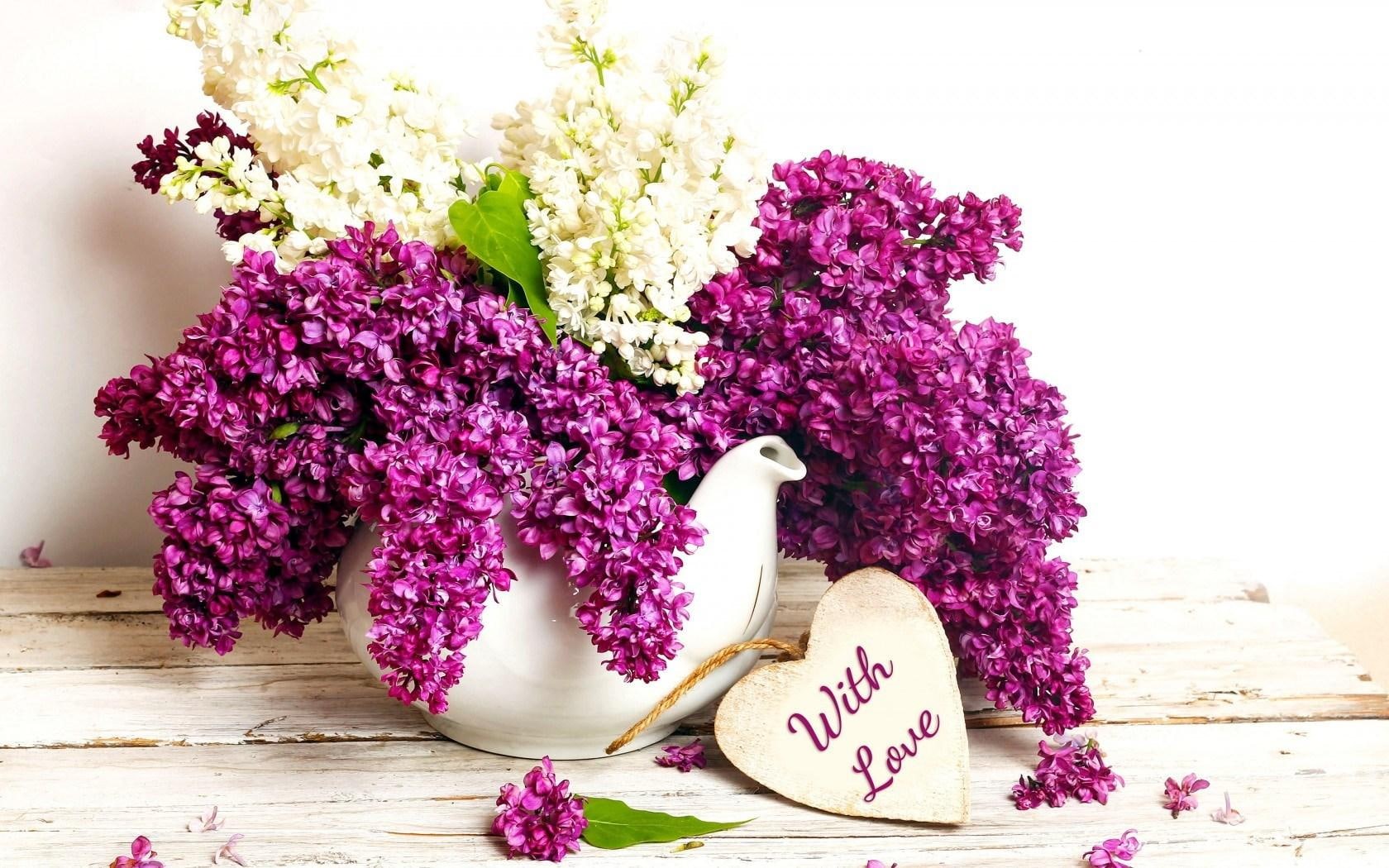 purple, lilac, vase, flowers, spring, 720P, HD Wallpaper