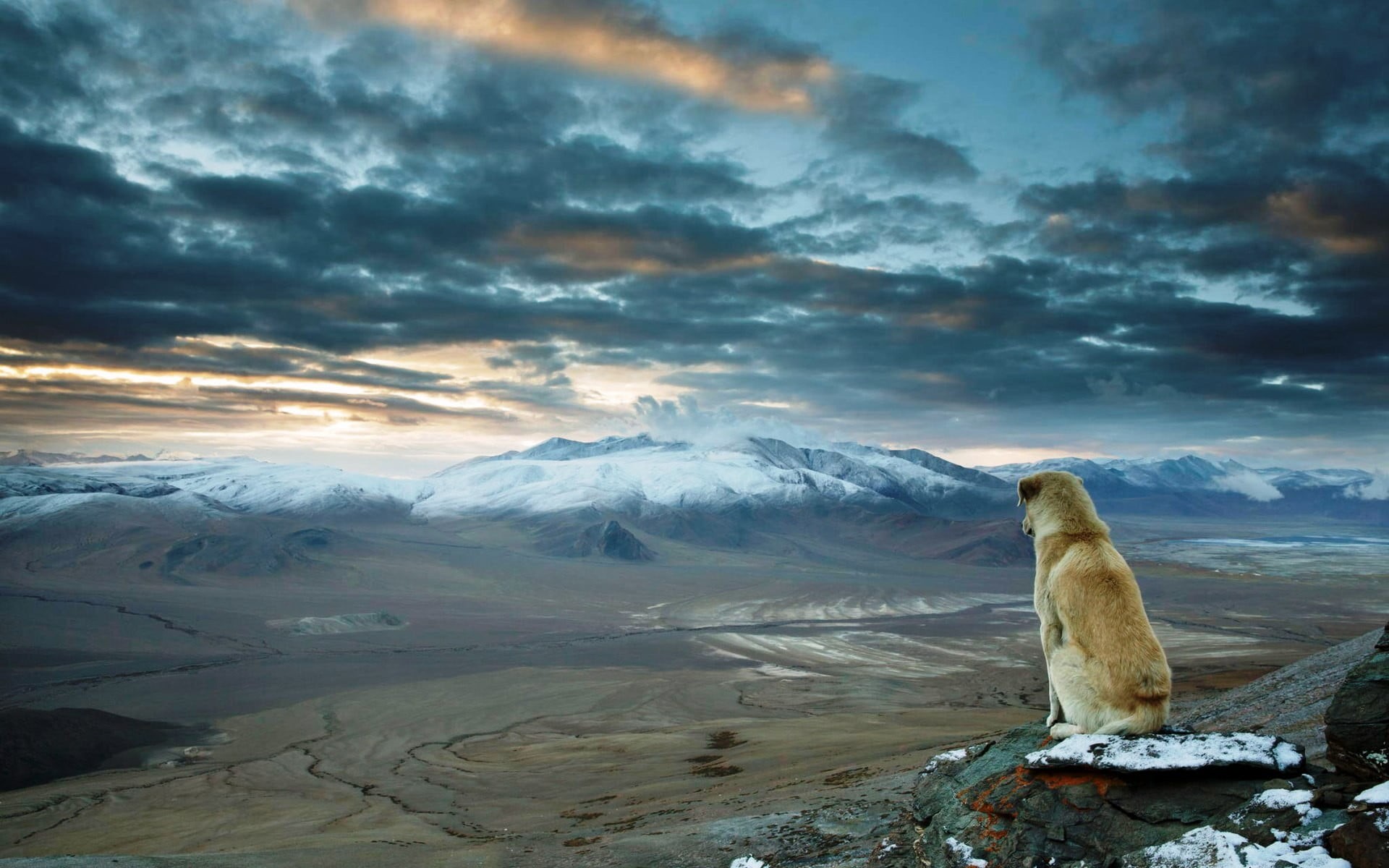 mountain peak, mountains, far view, cyan, dog, non-urban scene, no people, sky, short, animals, landscape, ice, medium, tranquil scene, water, tranquility, HD Wallpaper