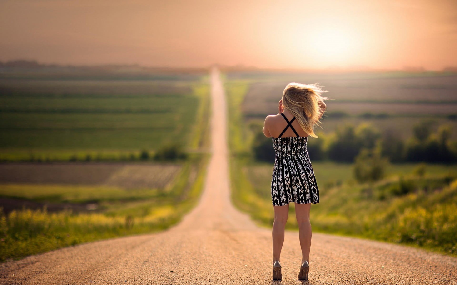plant, full length, 1080P, blonde, casual clothing, sunlight, looking into the distance, rear view, sunset, windy, hairstyle, sky, blond hair, outdoors, HD Wallpaper