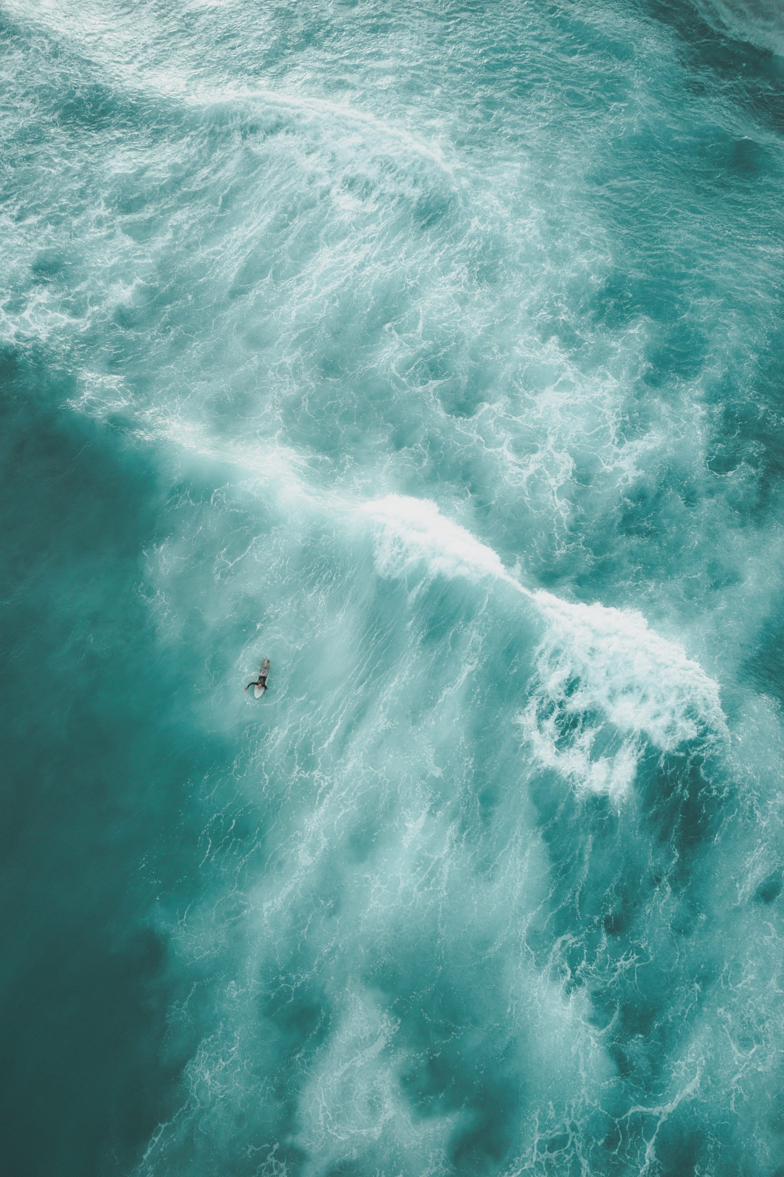 birds, photography, wafe, beauty in nature, beach, full frame, eye, surfing, aerial view, ocean, wave, body, turquoise colored, backgrounds, waterfront, Phone HD Wallpaper