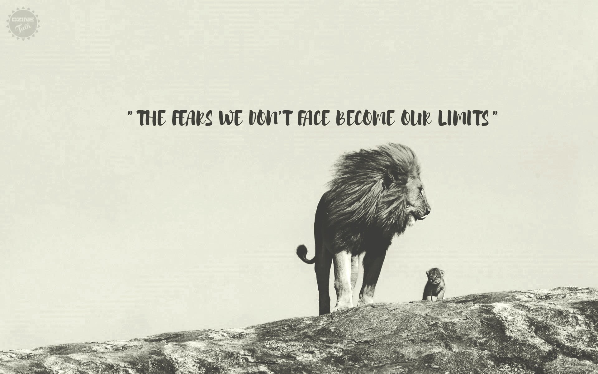 colorful, cubs, rock - object, white, western script, black, nature, cub, rock, bulls, animal wildlife, bird, Bull, text, day, motivational, animals in the wild, HD Wallpaper