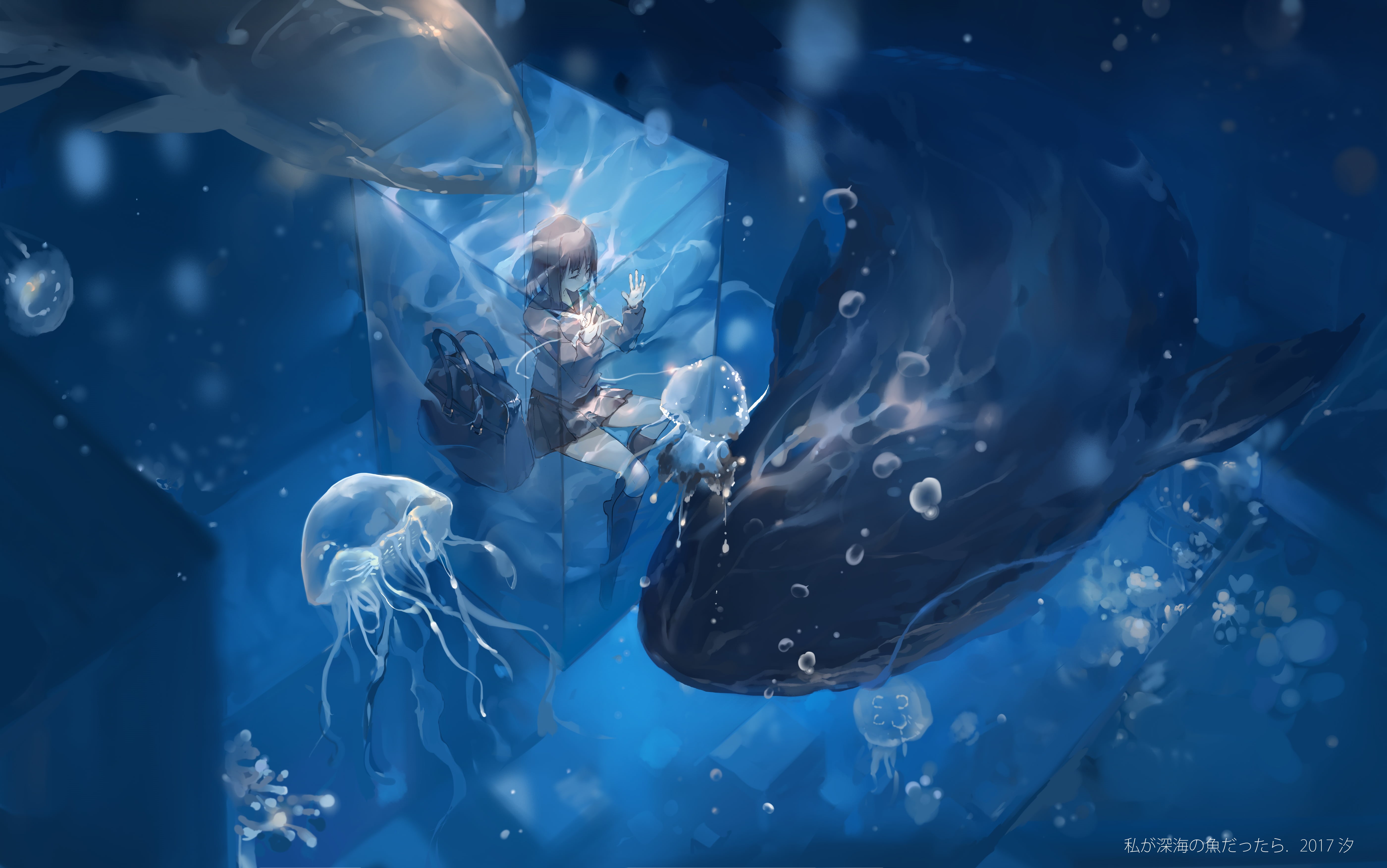 whale shark, marine, whale, Girls and Panzer, real people, 5K, group of animals, fish, water, outdoors, nature, animals in the wild, undersea, anime, animal wildlife, HD Wallpaper