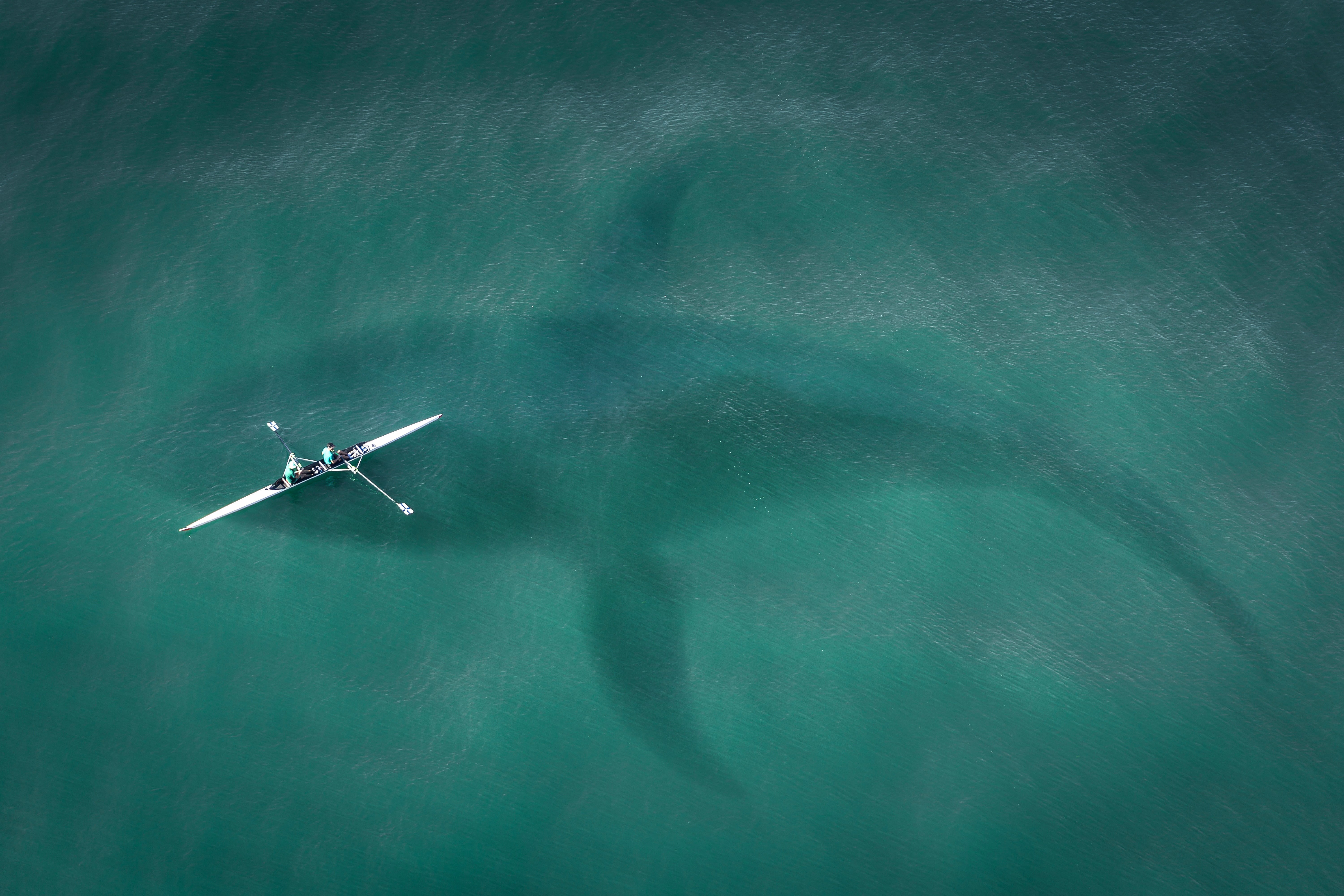 high angle view, holiday, transportation, rowing, fins, paddle, canoeing, kayak, travel, killer whale, kayakers, from above, nature, dinosaur, paddle tour, HD Wallpaper