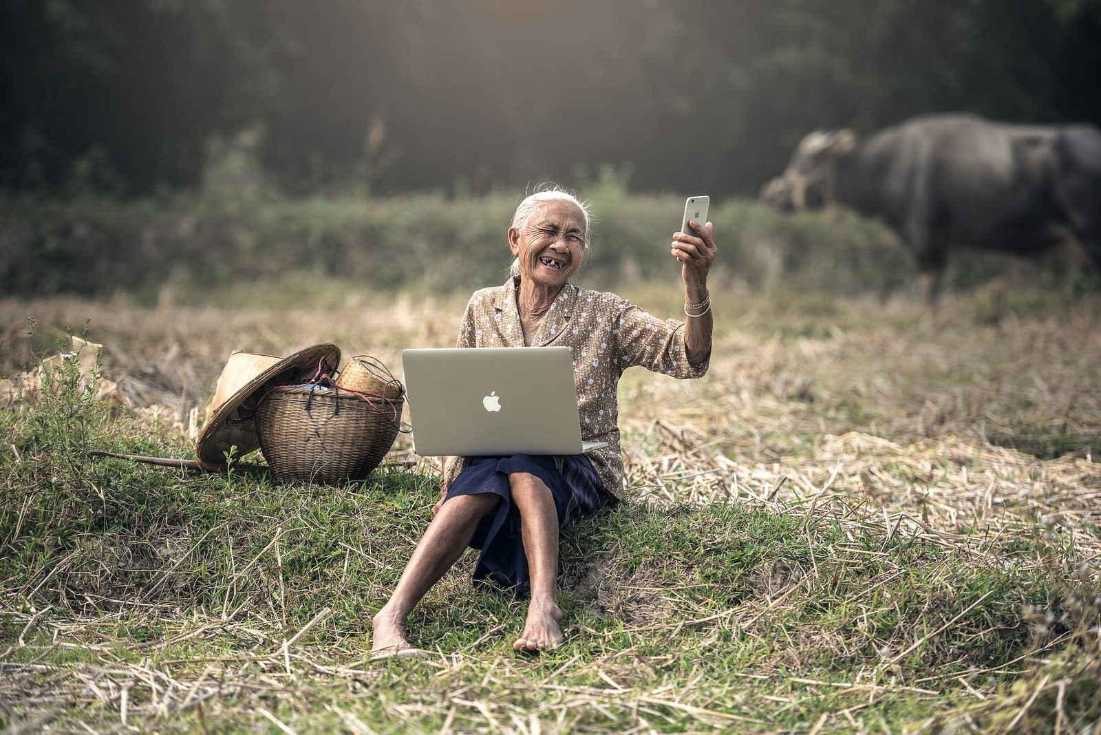 connection, senior adult, happiness, wireless technology, computer, laptop, full length, portrait, 720P, using laptop, mac book, old people, field, emotion, HD Wallpaper