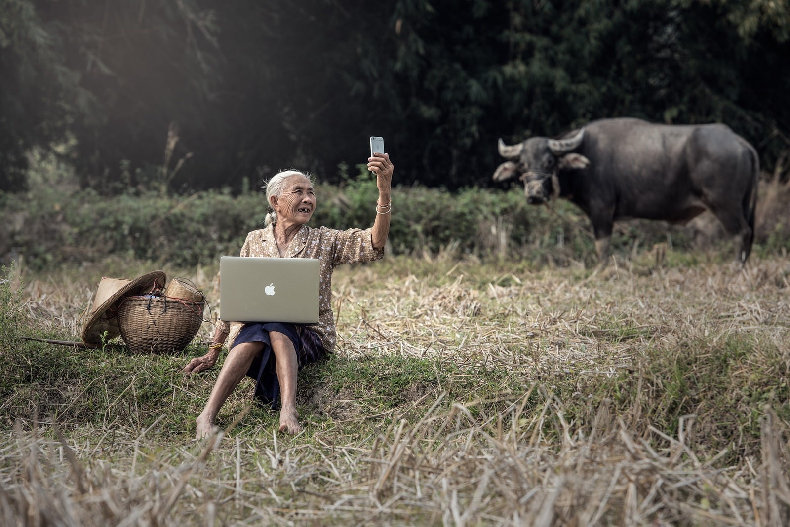 720P, land, wireless technology, using laptop, technology, nature, full length, holding, animal wildlife, mac book, outdoors, communication, old people, HD Wallpaper