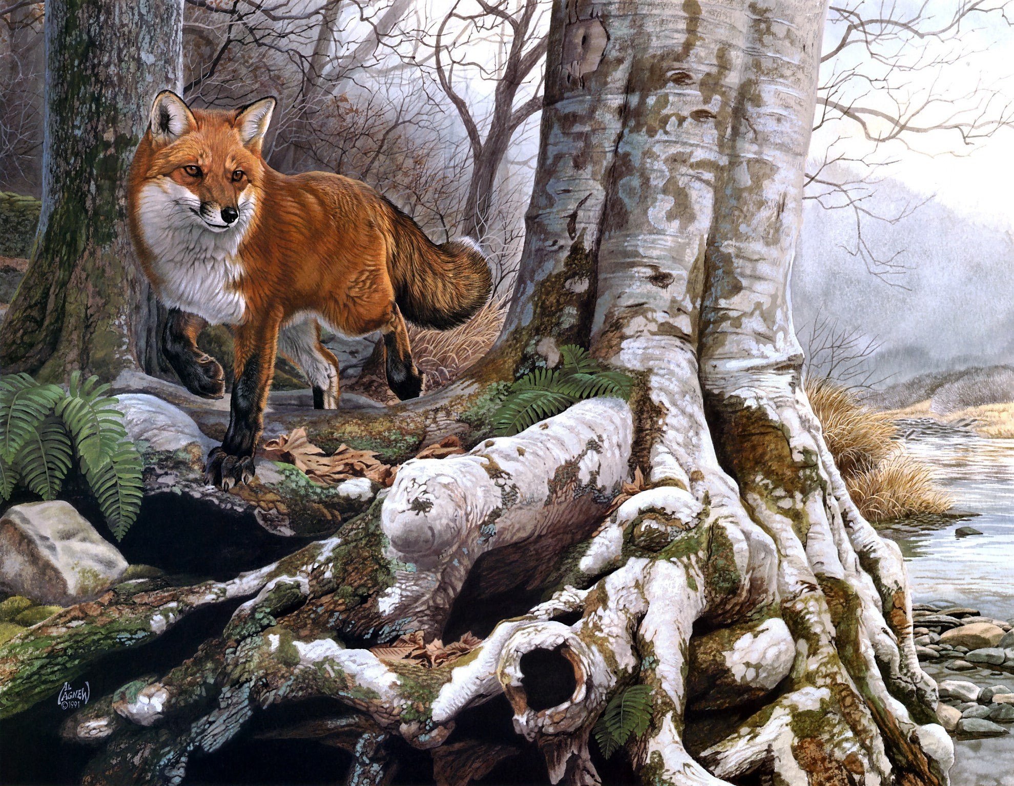 land, Running Wild, Fox, autumn, nature, painting, plant, winter, wildlife, tree trunk, snow, pets, vertebrate, cold temperature, wallpapre, red, Al Agnew, HD Wallpaper