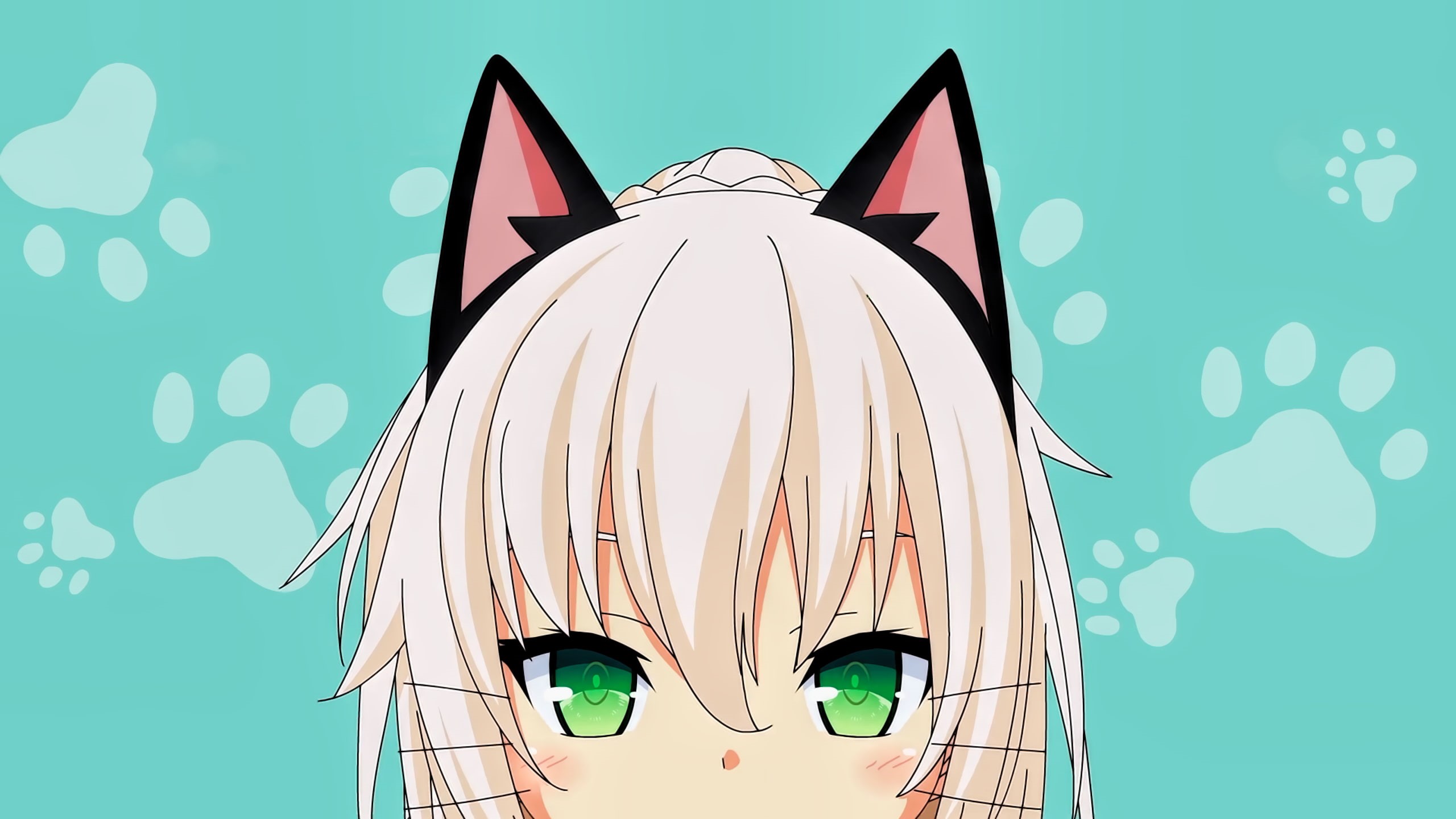 nekomimi, studio shot, outdoors, green eyes, Shachi Yuuri, front view, pattern, sunglasses, art and craft, no people, nature, blue background, close-up, HD Wallpaper