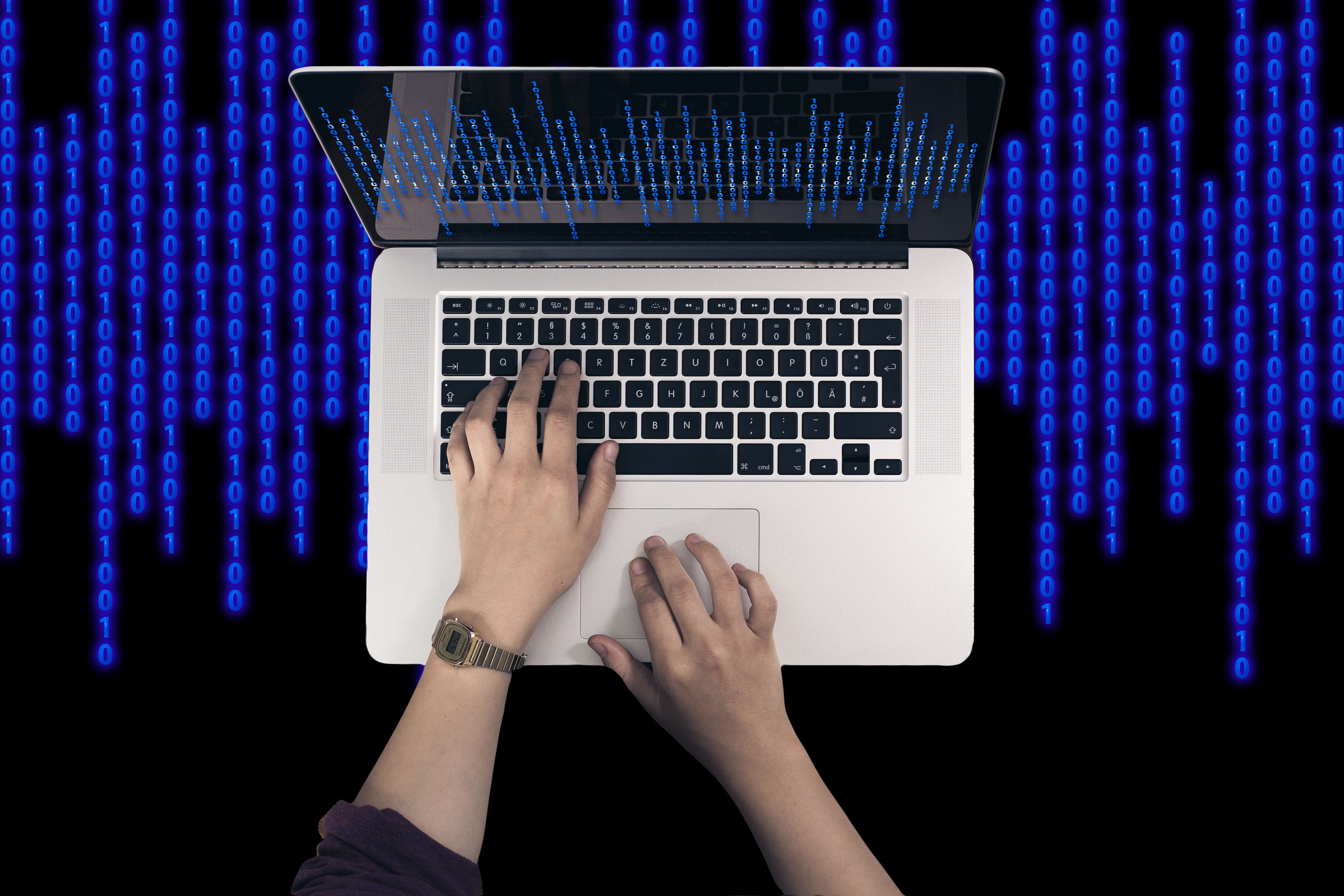 infestation, operating system, pay, internet, computer equipment, data exchange, worldwide, program, fashionable, human, web, wireless technology, purple, HD Wallpaper