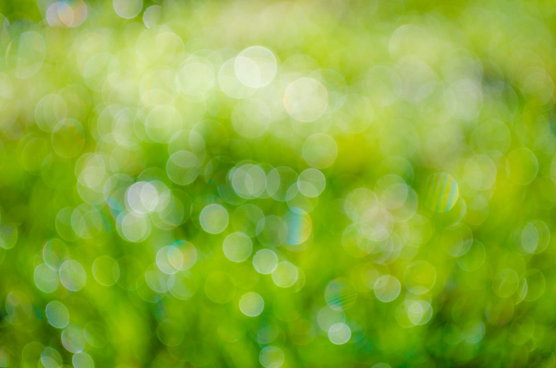 abstract, pattern, nature, textured effect, copy space, concept, vibrant color, close, illuminated, garden, natural, shiny, field, environment, summer, HD Wallpaper