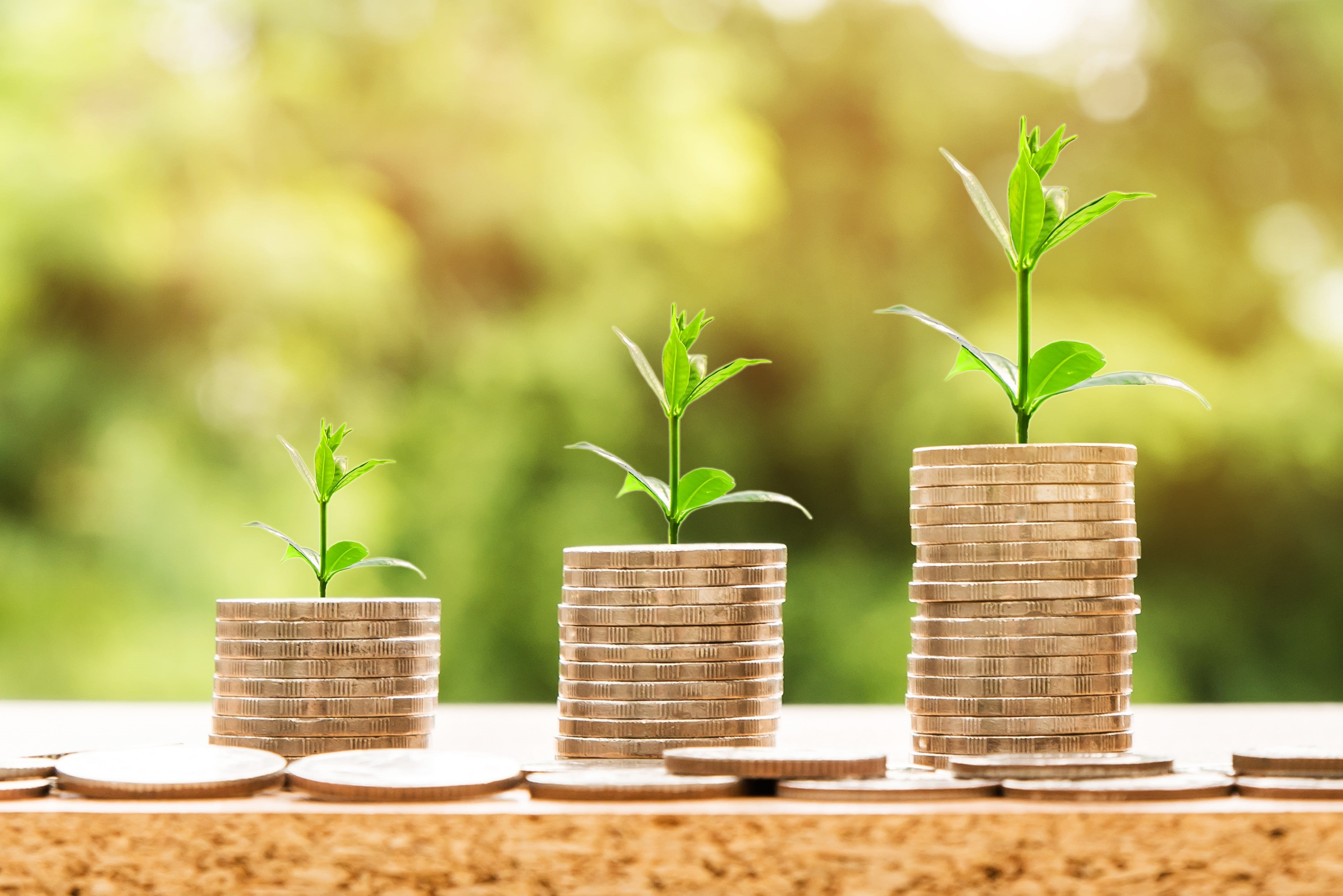 market, symbol, growth, business, wealth, healthcare and medicine, profit, growing, accounting, bank, green color, leaf, money, hand, sapling, 4K, coins, HD Wallpaper
