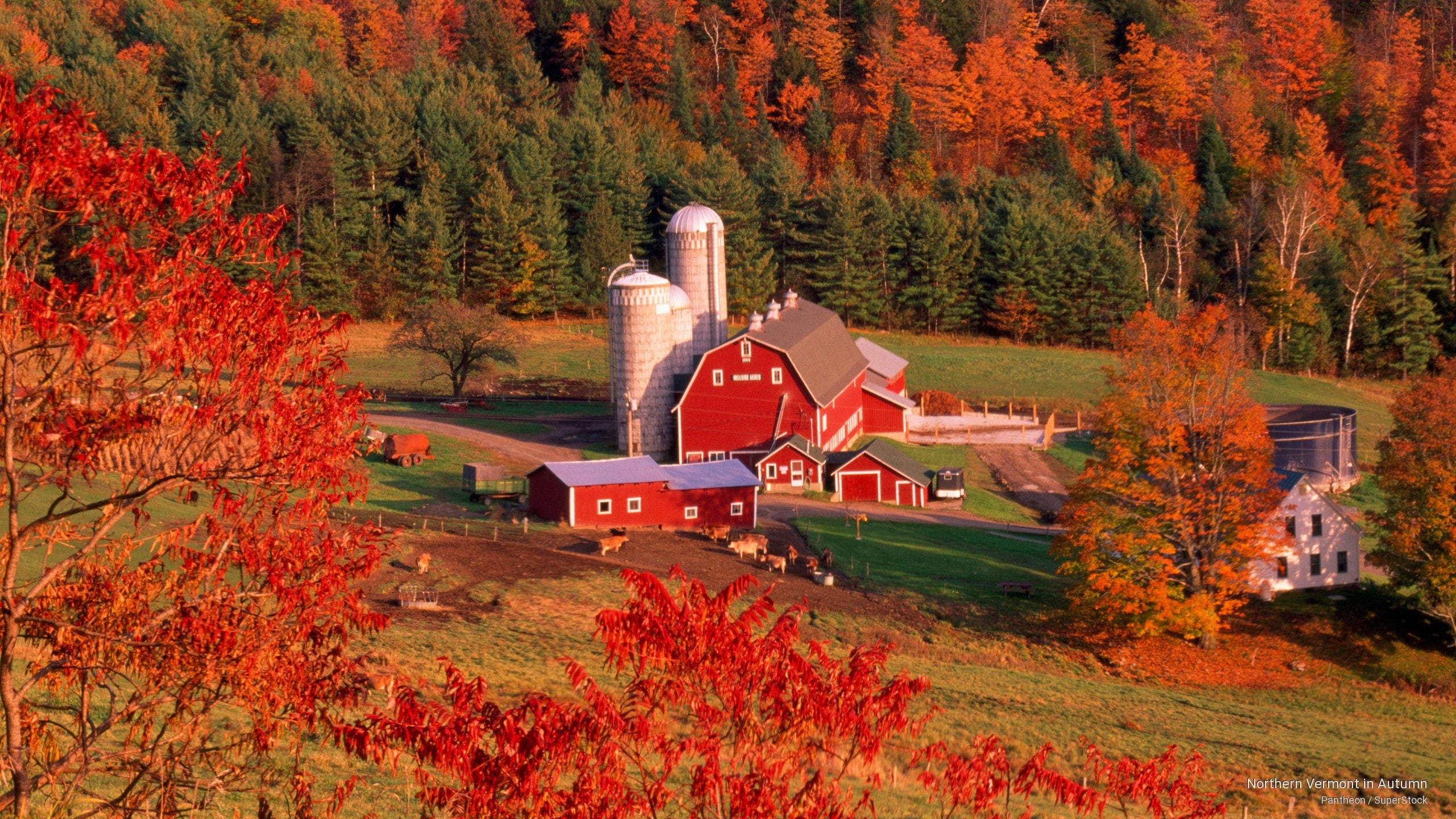 2K, vermont, autumn, northern, Fall, HD Wallpaper