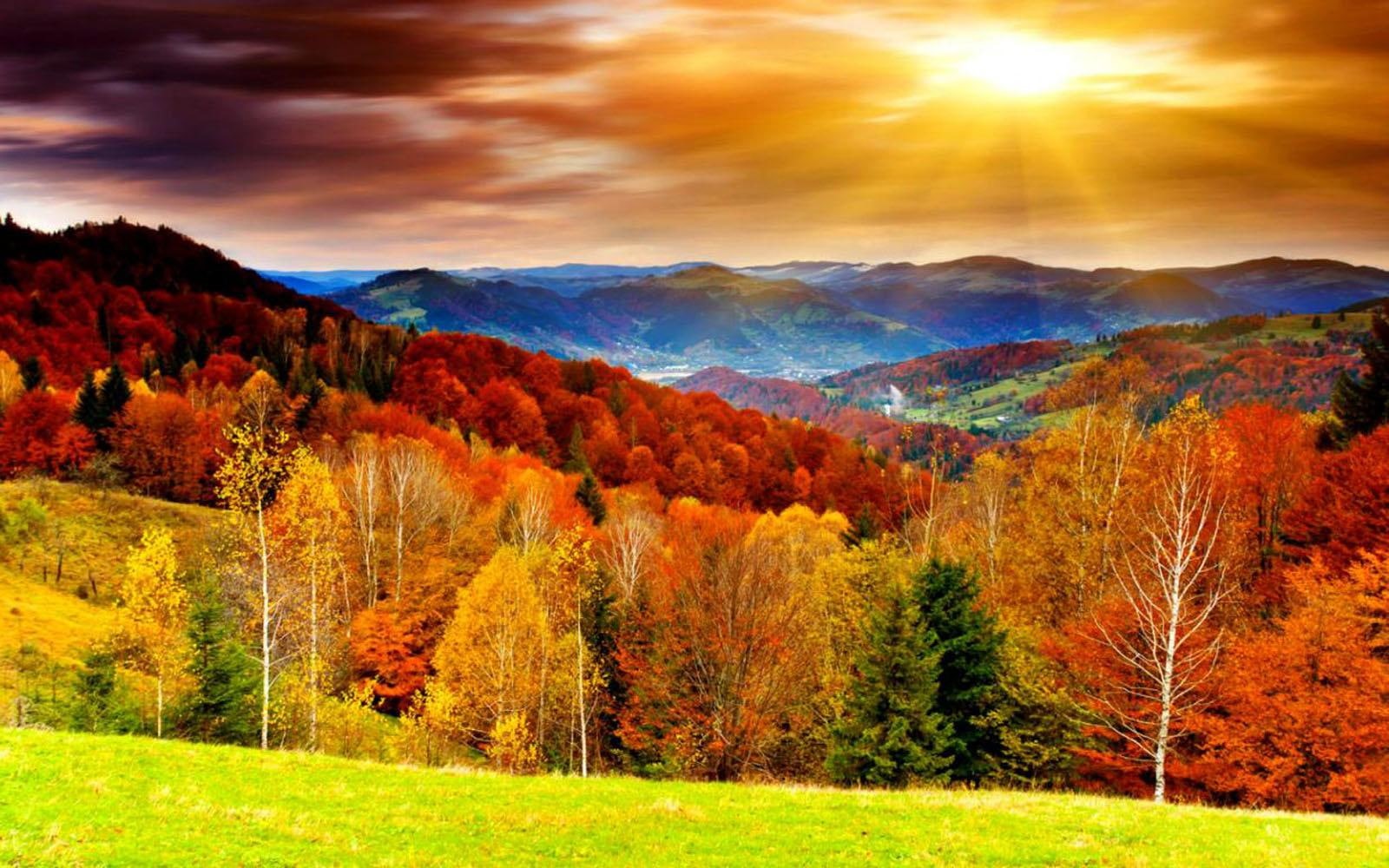 natural, autumn, 720P, scenery, HD Wallpaper