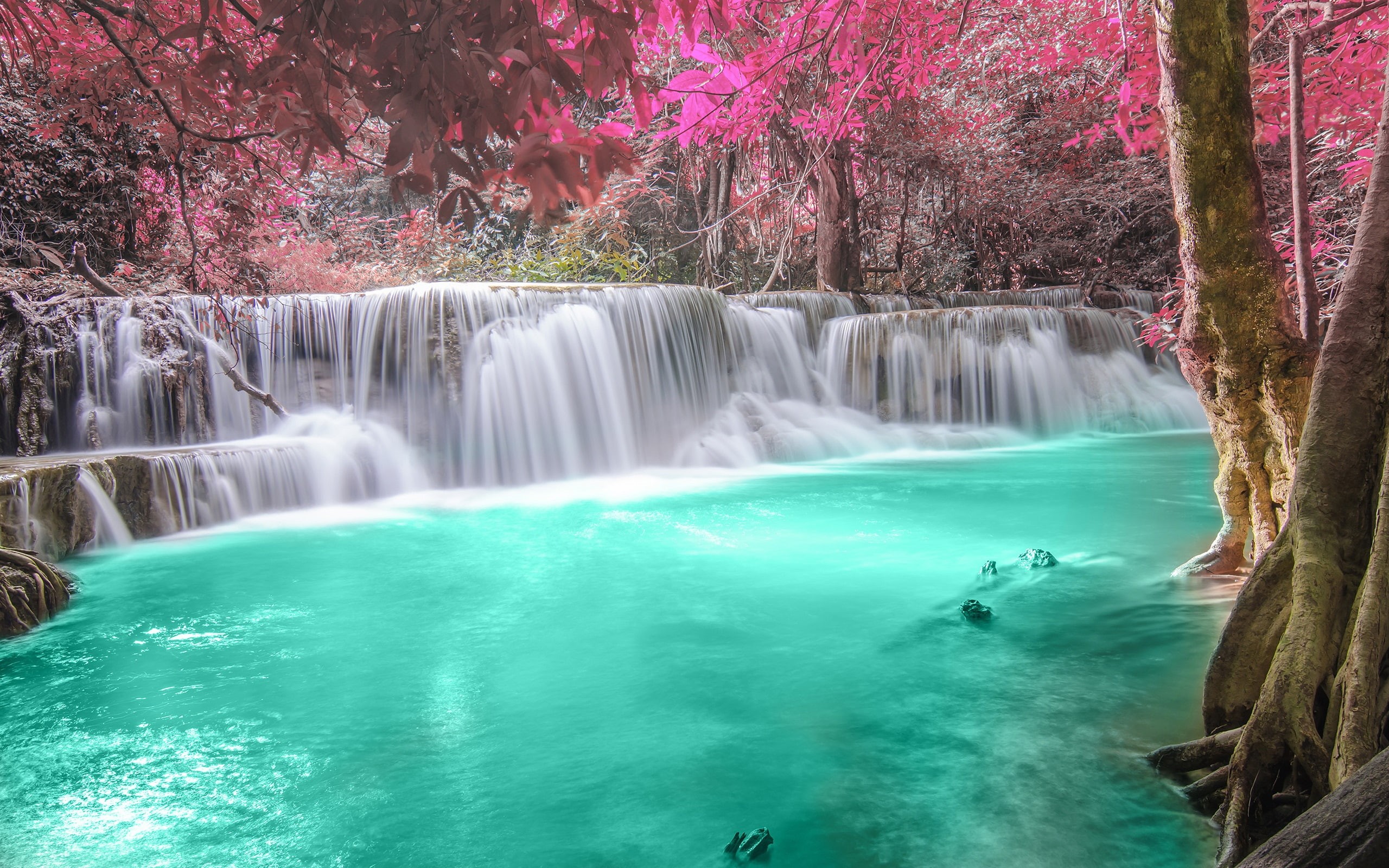 2K, Autumn, Forest, River, Waterfalls, HD Wallpaper
