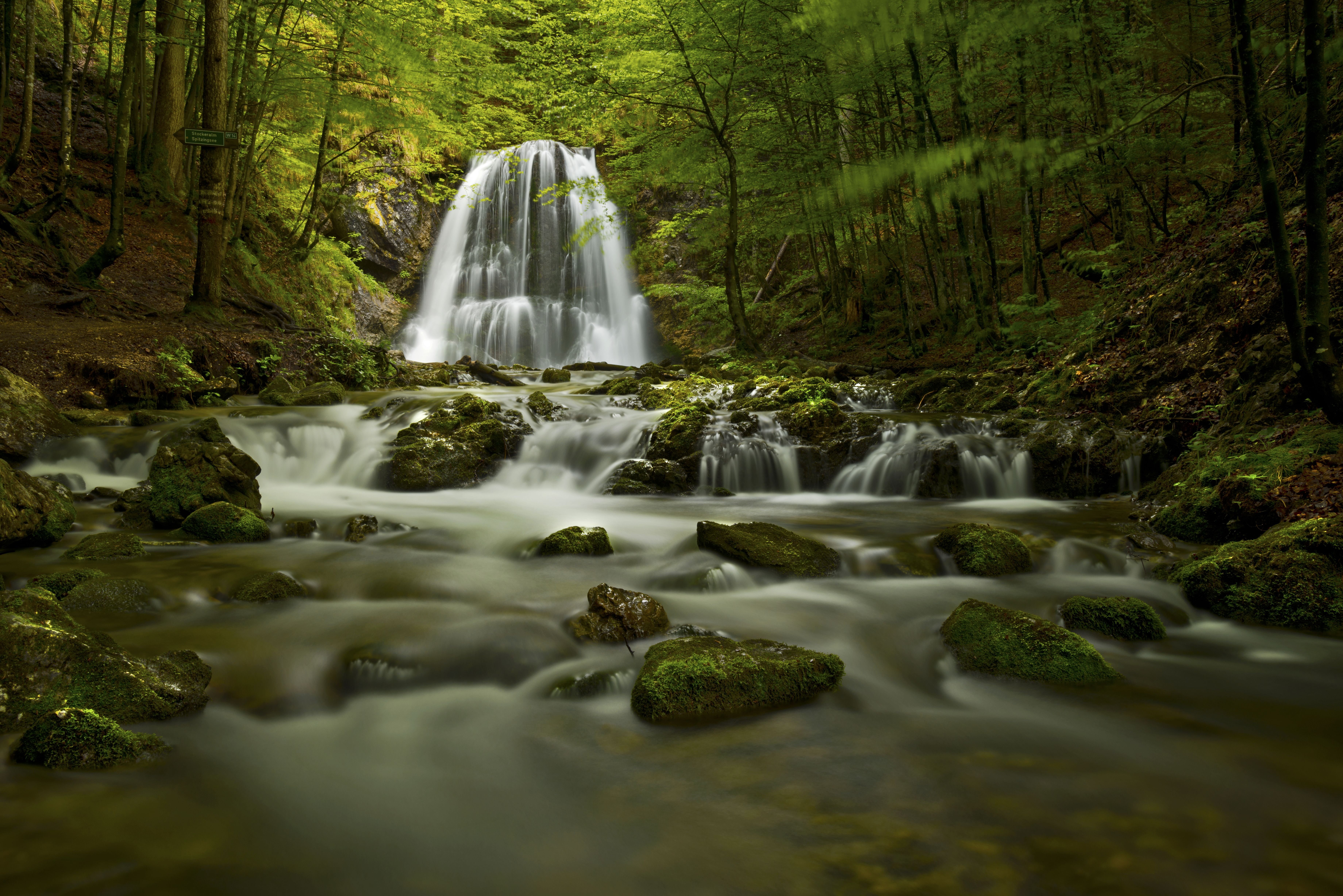 forest, creek, falls, scenics, beauty In Nature, Bach, Strom, rauschen, alps, frozen  water, lee, river, Alpen, outdoor, freshness, Bayern, Pounding, water, HD Wallpaper