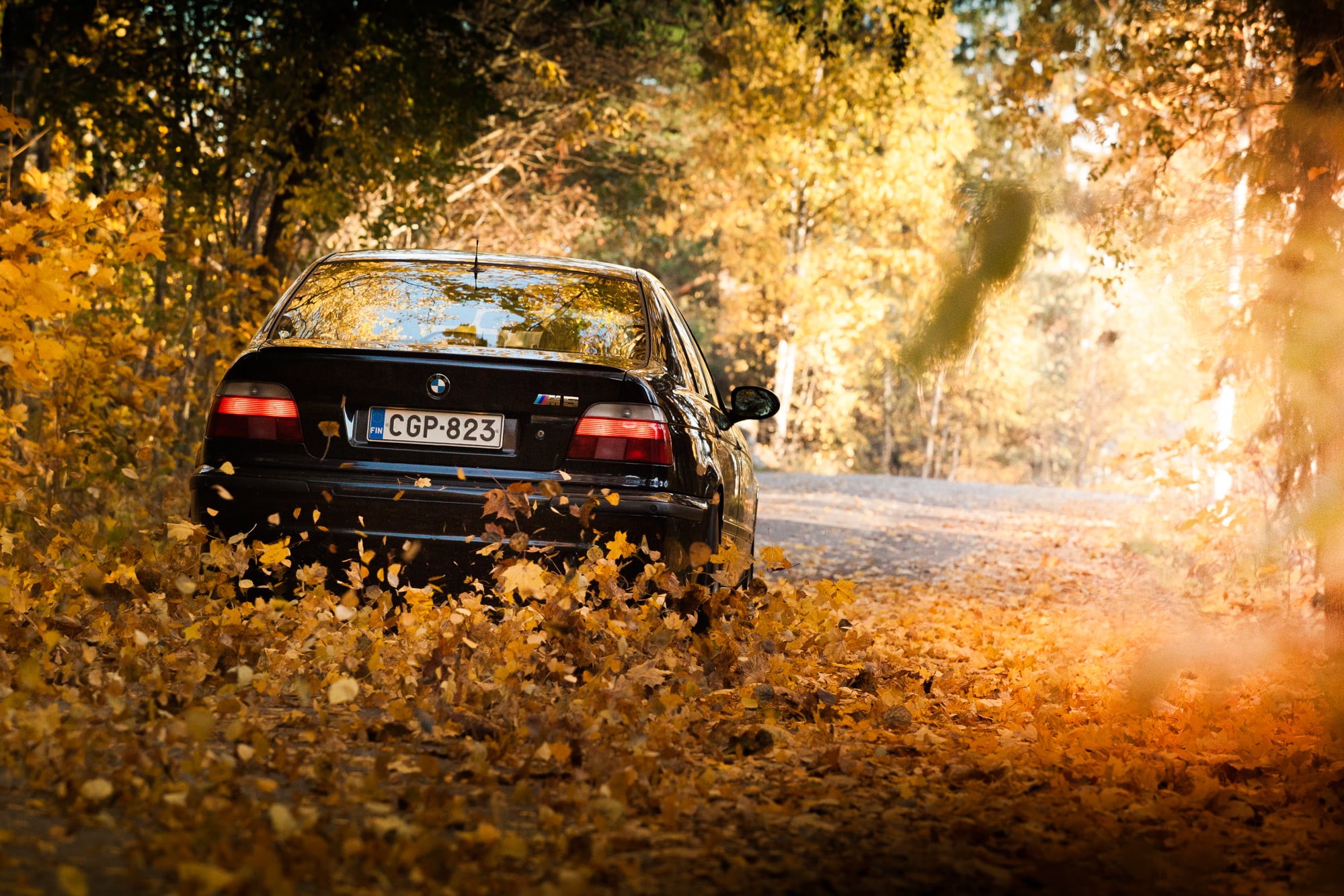 dirty, 4x4, plant part, mode of transportation, white, day, forest, BMW, car, leaf, blurred Motion, wet, sports Race, 4wd, no People, mode of Transport, HD Wallpaper