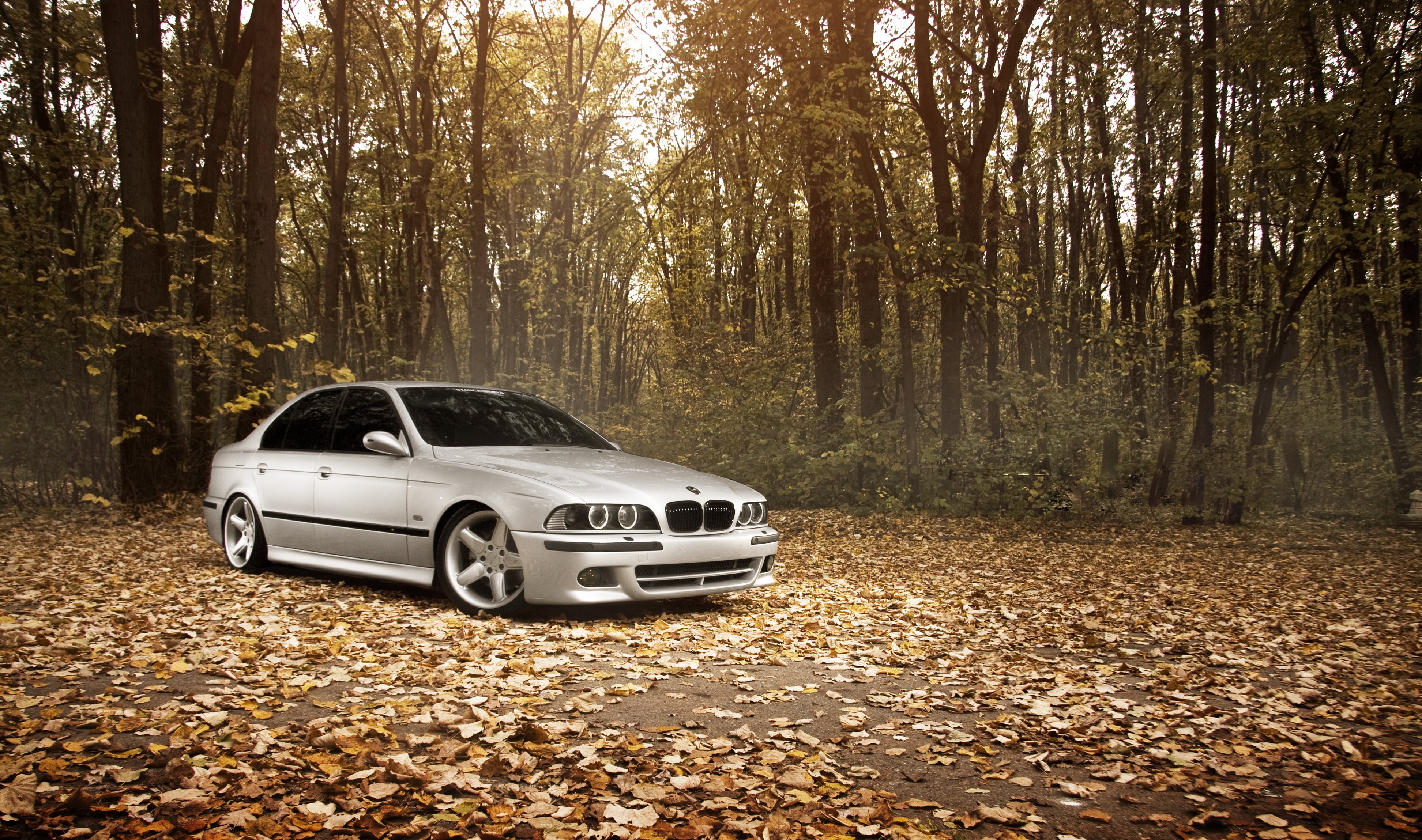 no People, car, 4K, wheel, transportation, sedan, mode of Transport, mode of transportation, trunk, land, plant, Autumn, street, land Vehicle, outdoors, HD Wallpaper