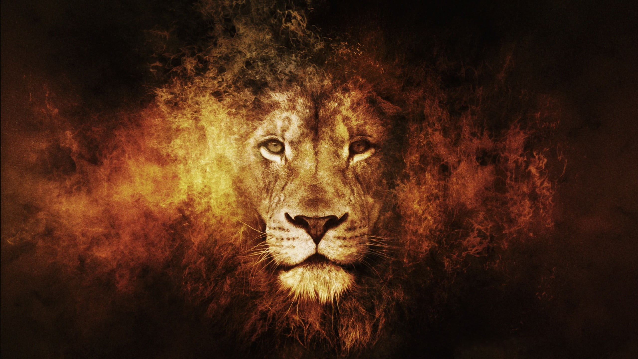 brown, lion - feline, digital composite, looking at camera, portrait, animal body part, nature, no people, mammal, cat, emotion, animal wildlife, lion, HD Wallpaper
