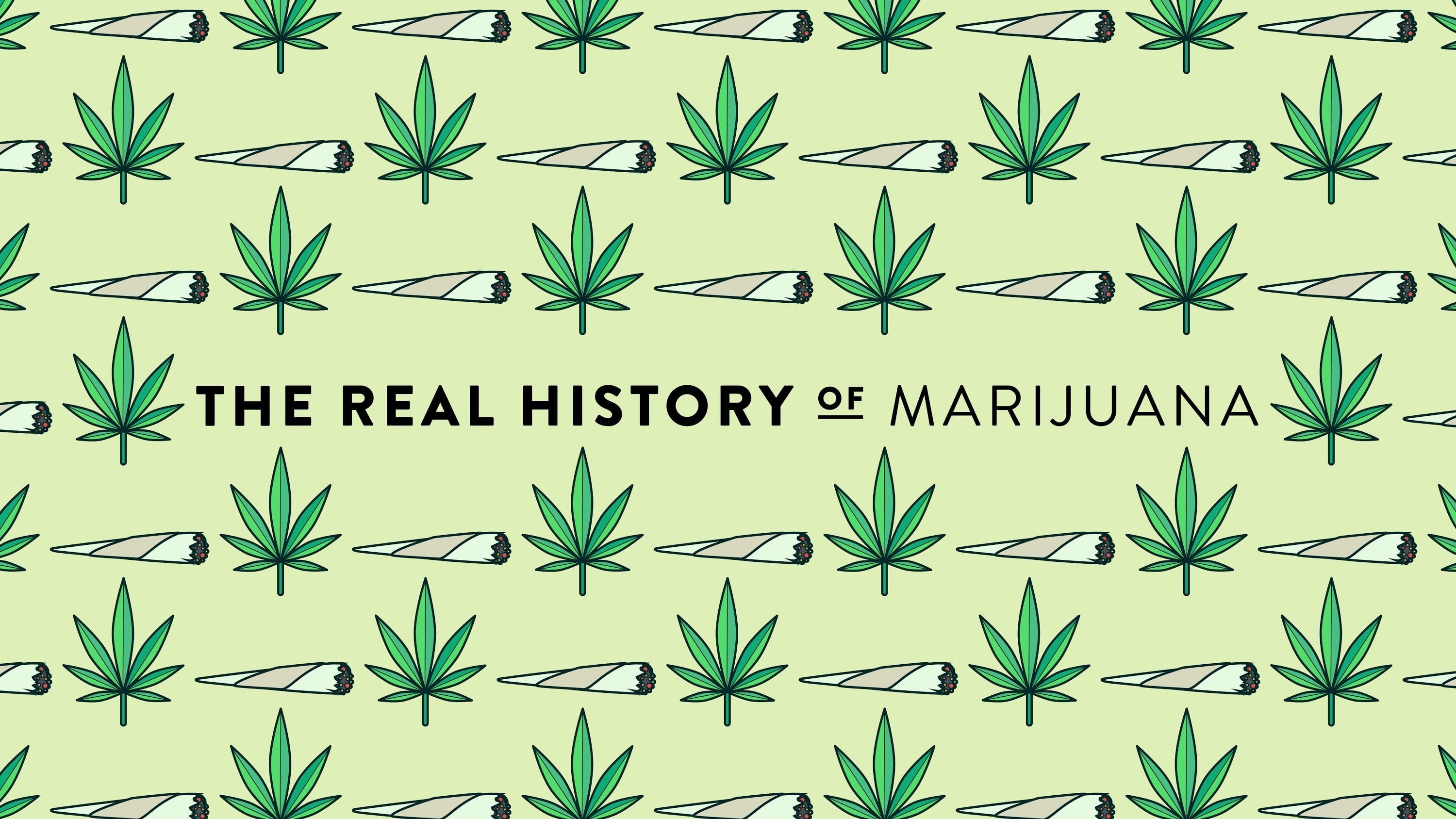 trippy, nature, reggae, plant, cannabis, drug, weed, drugs, rasta, marijuana, psychedelic, 420, 2K, HD Wallpaper