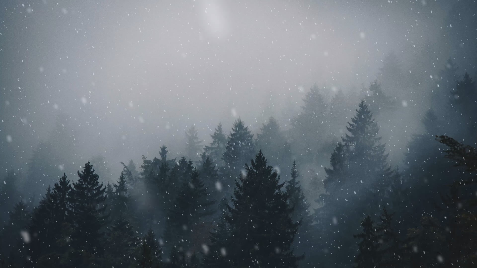 no People, cold temperature, christmas, plant, fir Tree, 1080P, star - Space, tree, winter, frost, land, backgrounds, scenics - nature, environment, season, HD Wallpaper